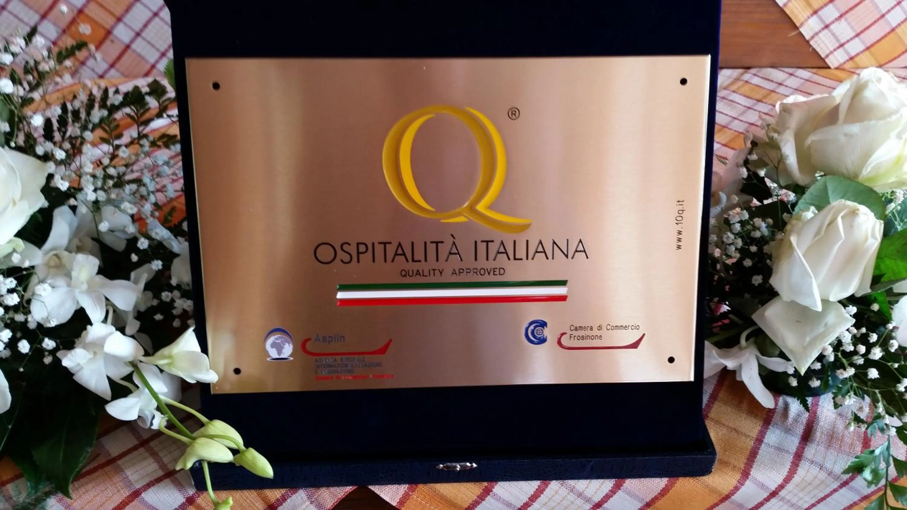 Certificate/Award in Belsito