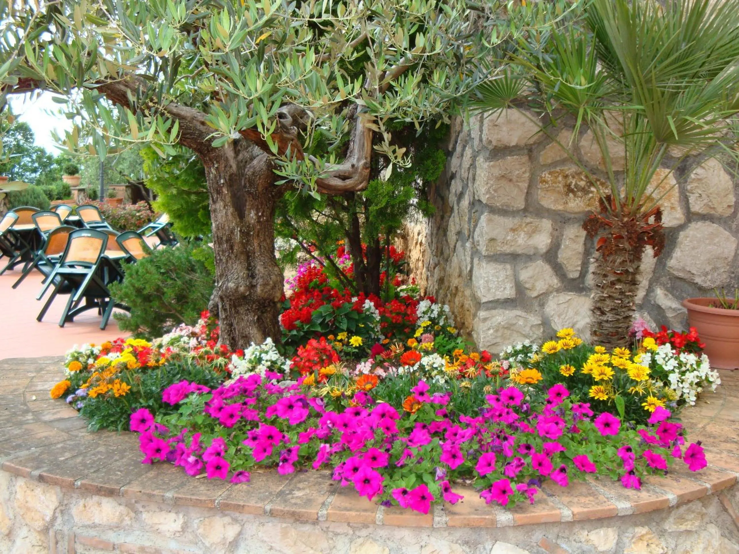 Garden in Belsito