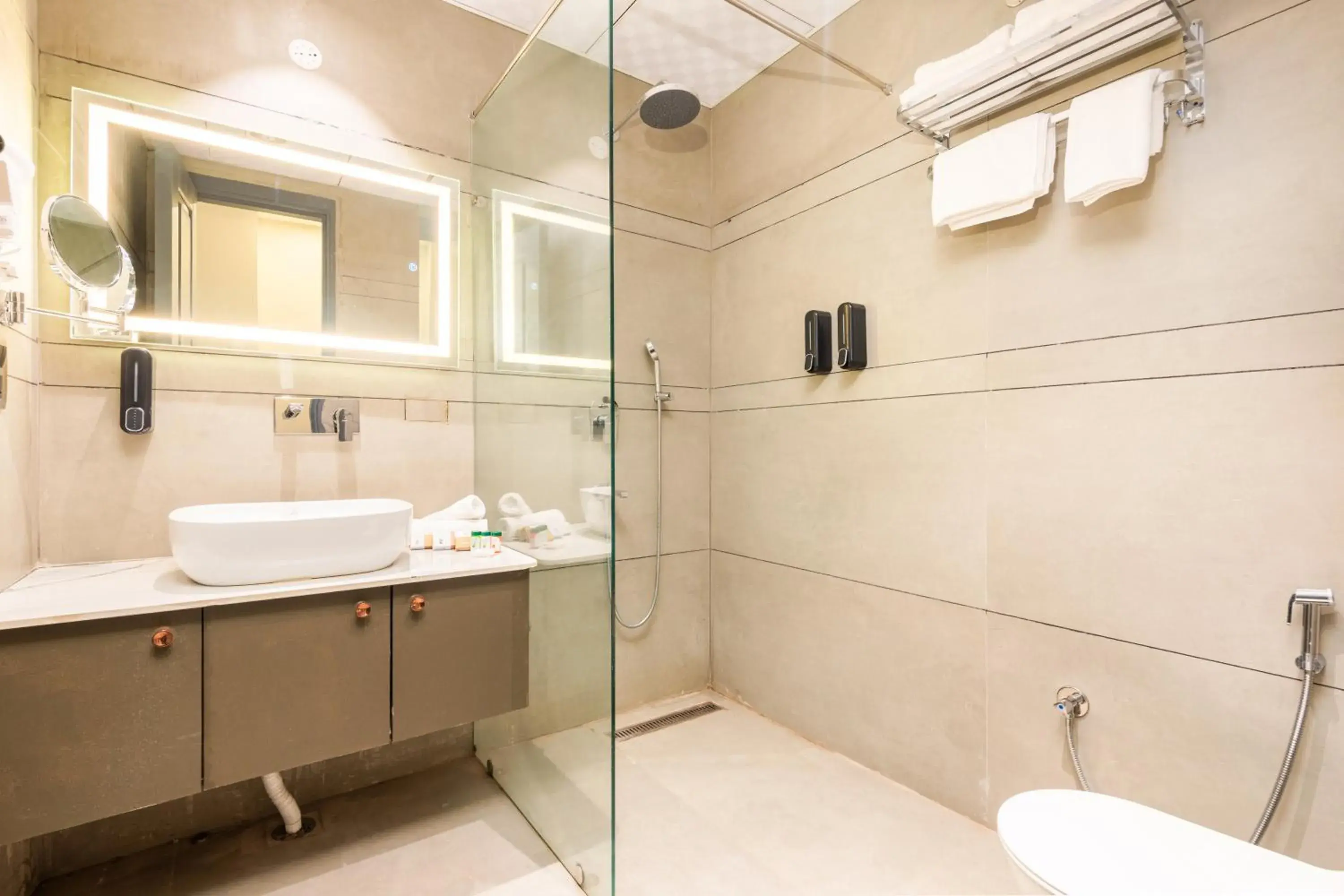 Bathroom in DLS Divine River Resort and Spa, Rishikesh Bathroom in DLS Divine River Resort and Spa, Rishikesh