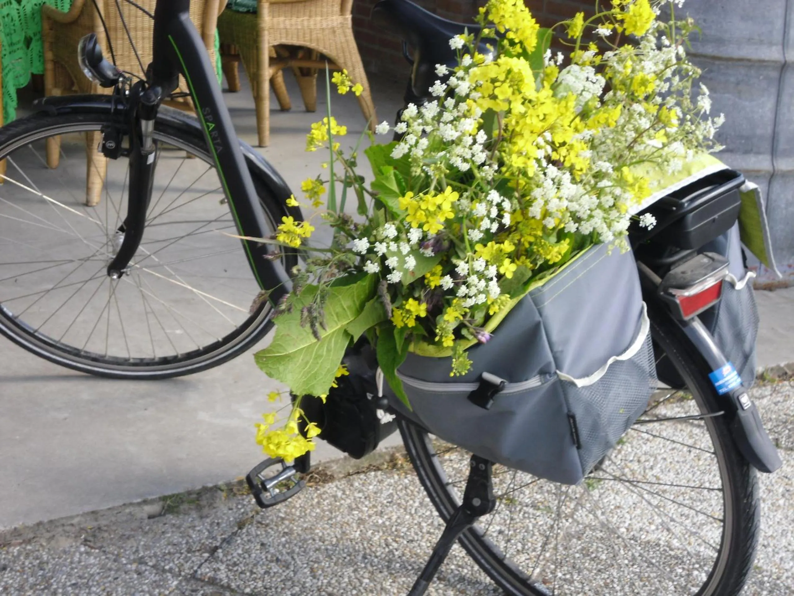 Cycling in Bed and breakfast Hoeve Spoorzicht