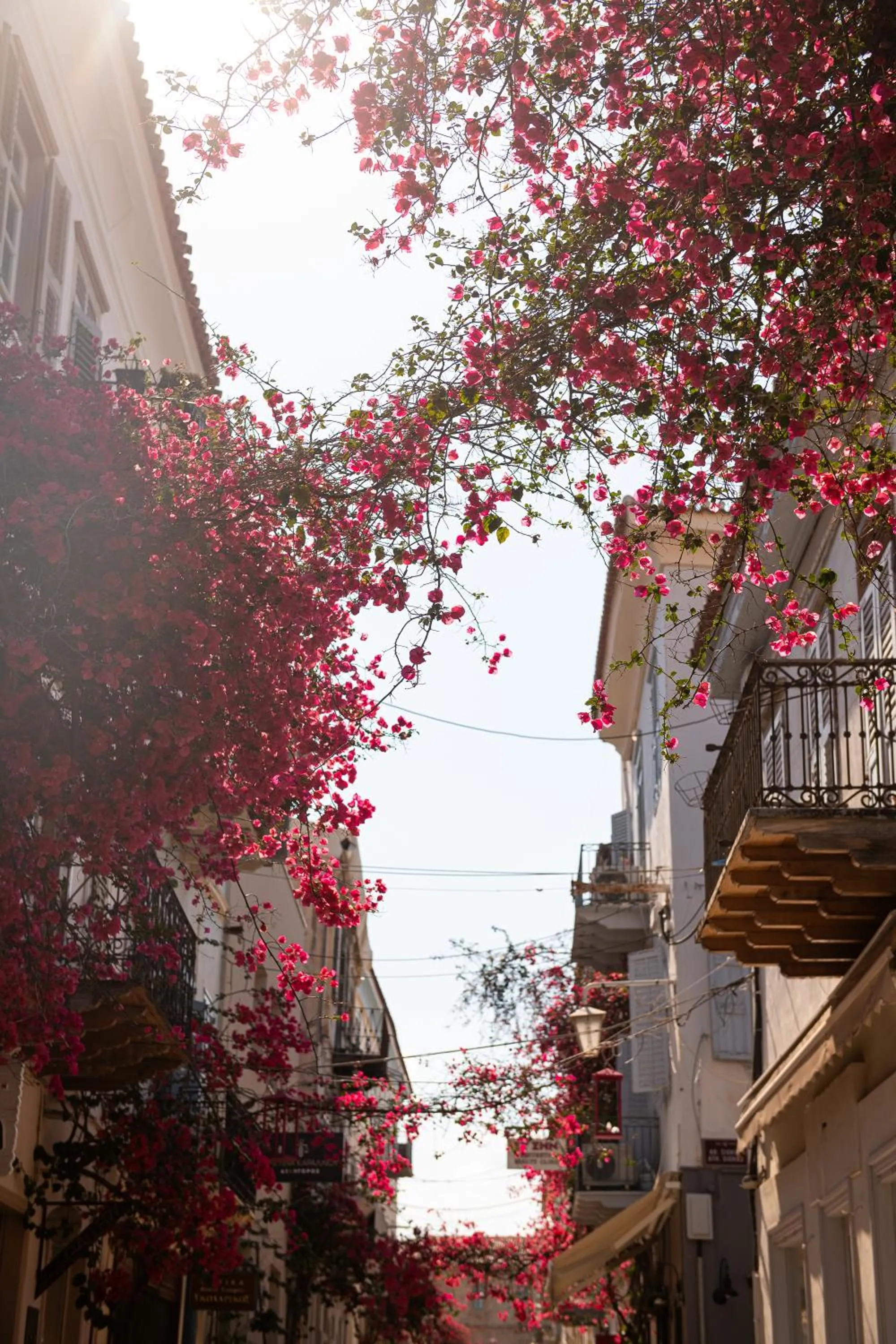 Street view in Naus Hotel