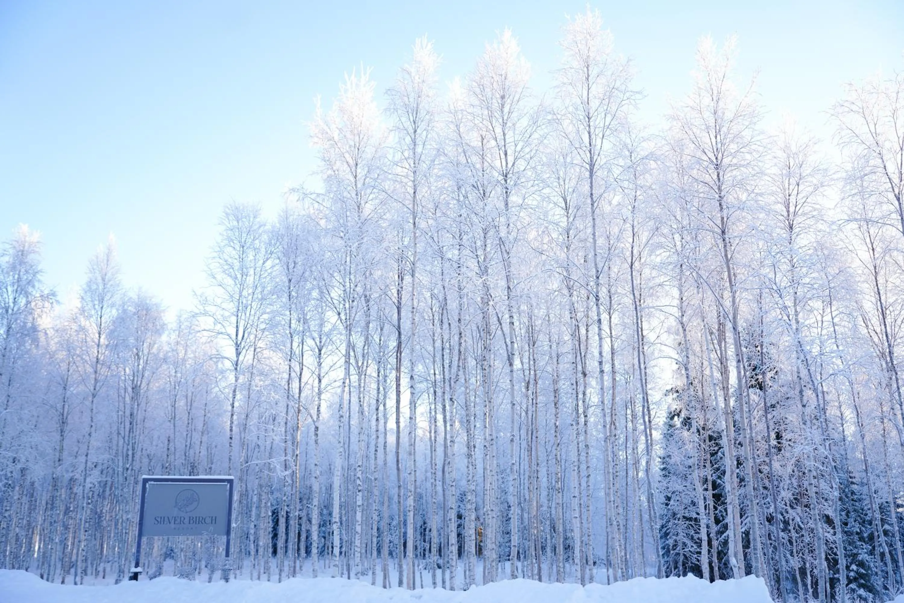 Natural landscape in Silver Birch Resort Lapland