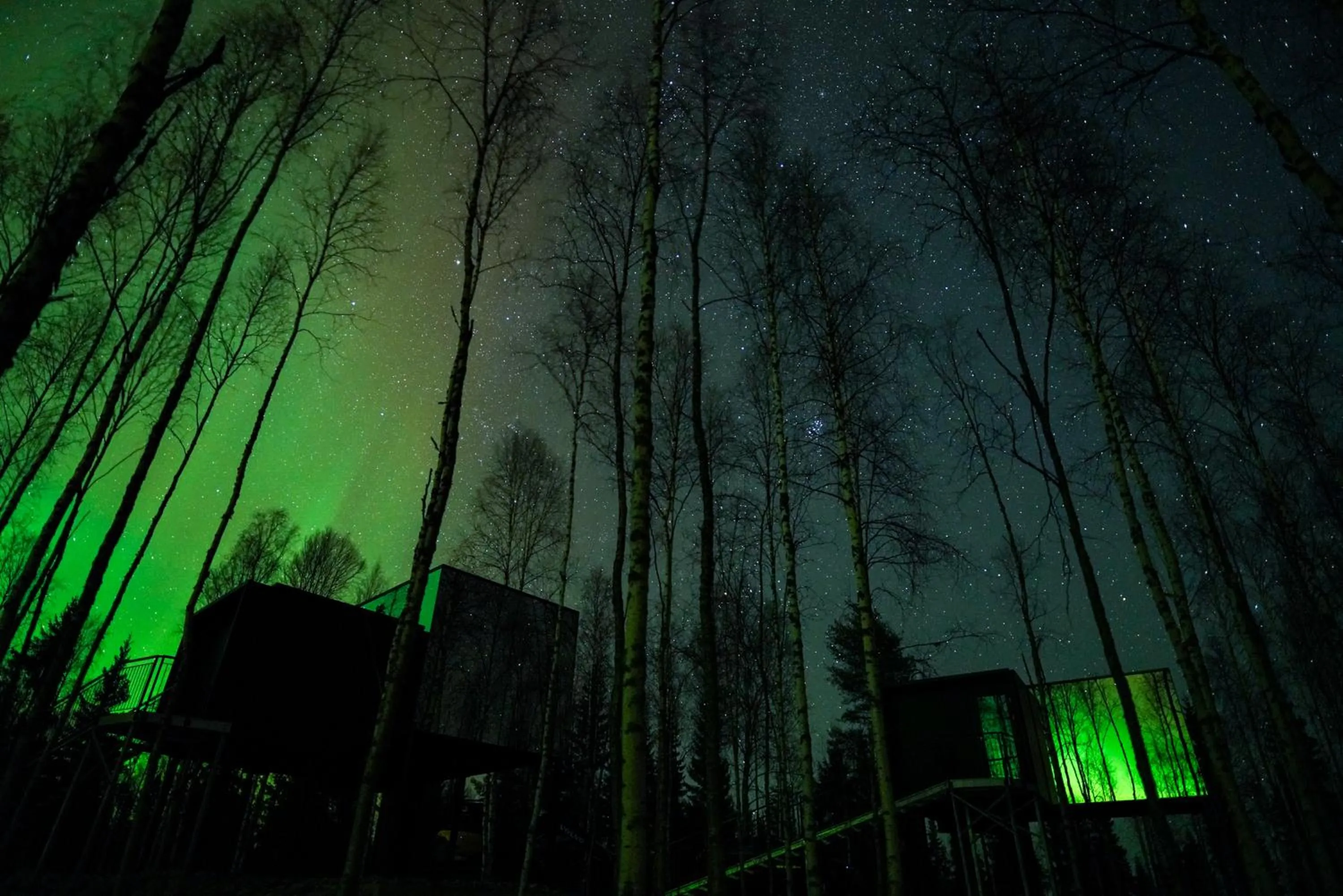 Property building in Silver Birch Resort Lapland