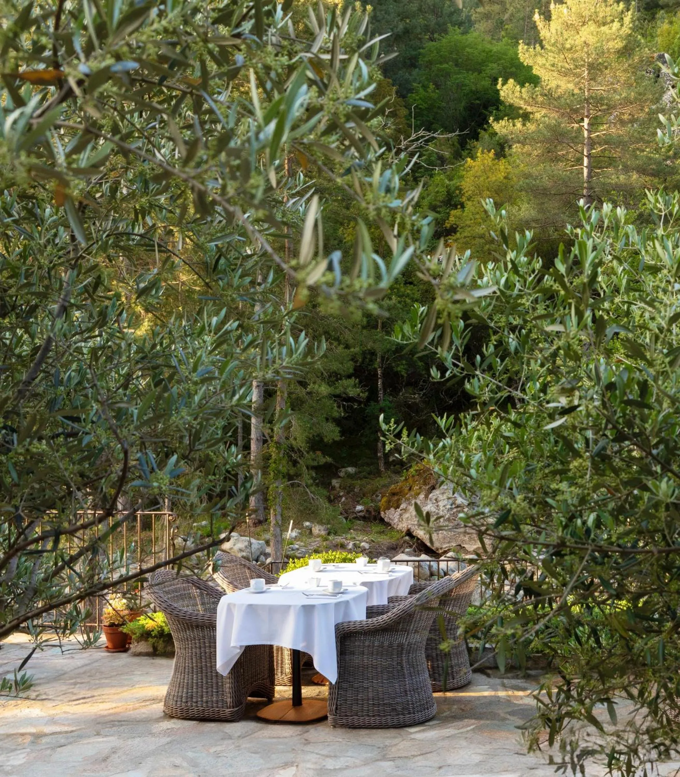 Garden in Dominique Colonna