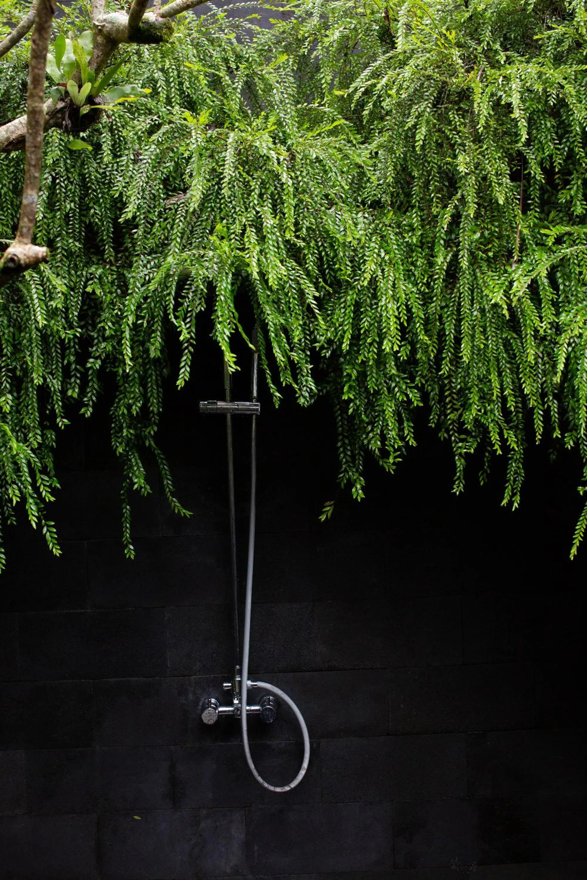 Shower in Rumah Hujan