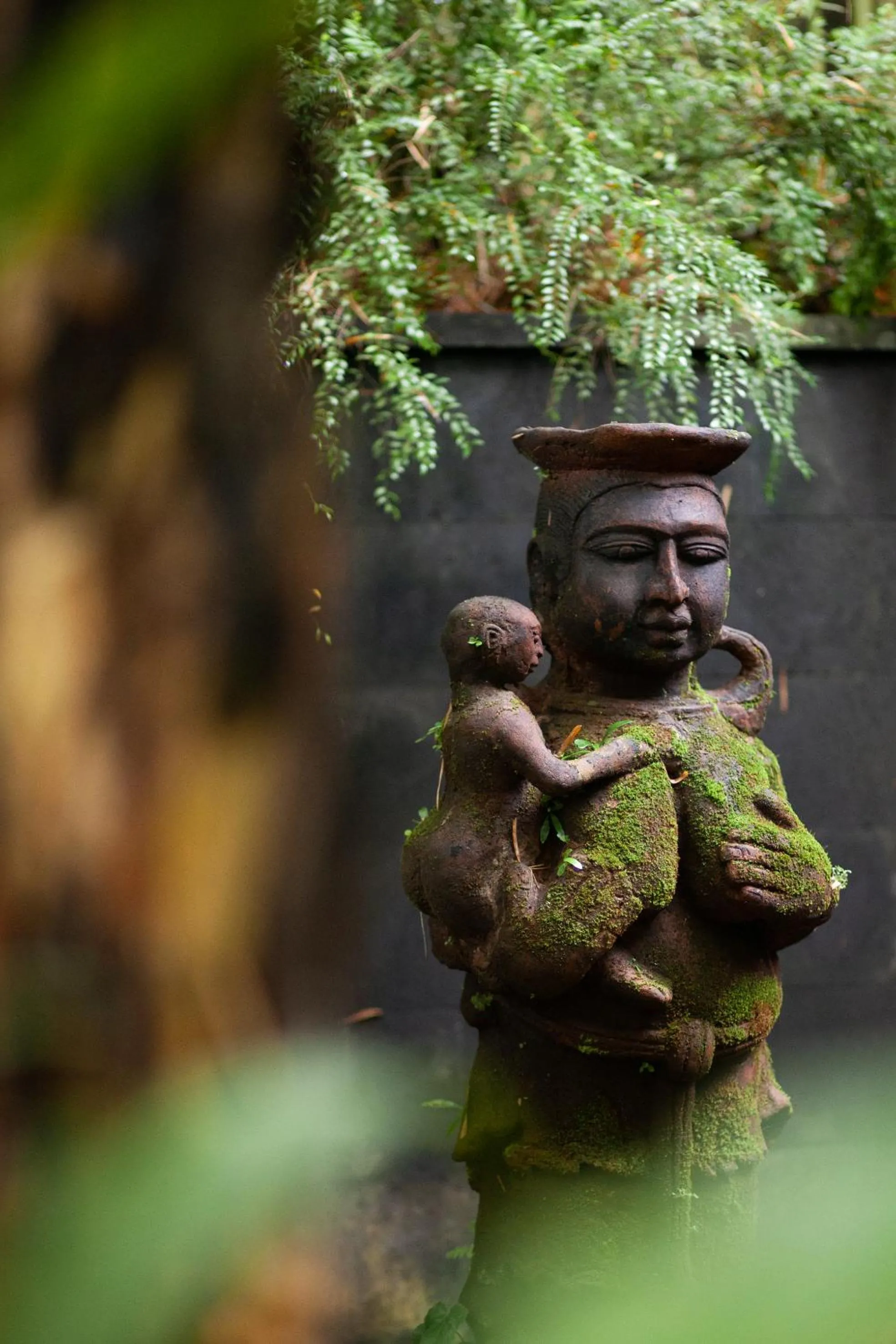 Garden in Rumah Hujan