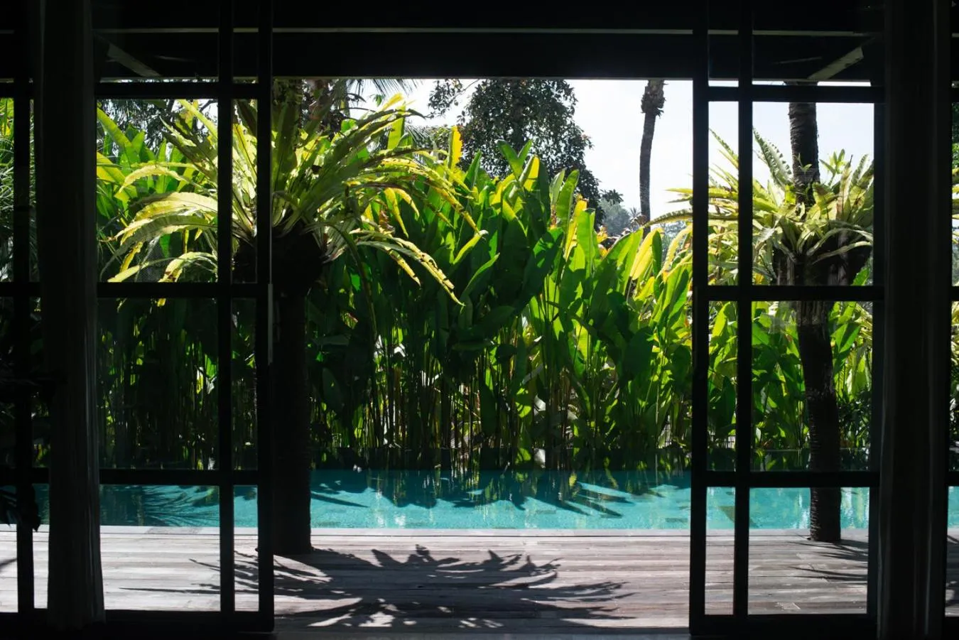 Swimming pool in Rumah Hujan