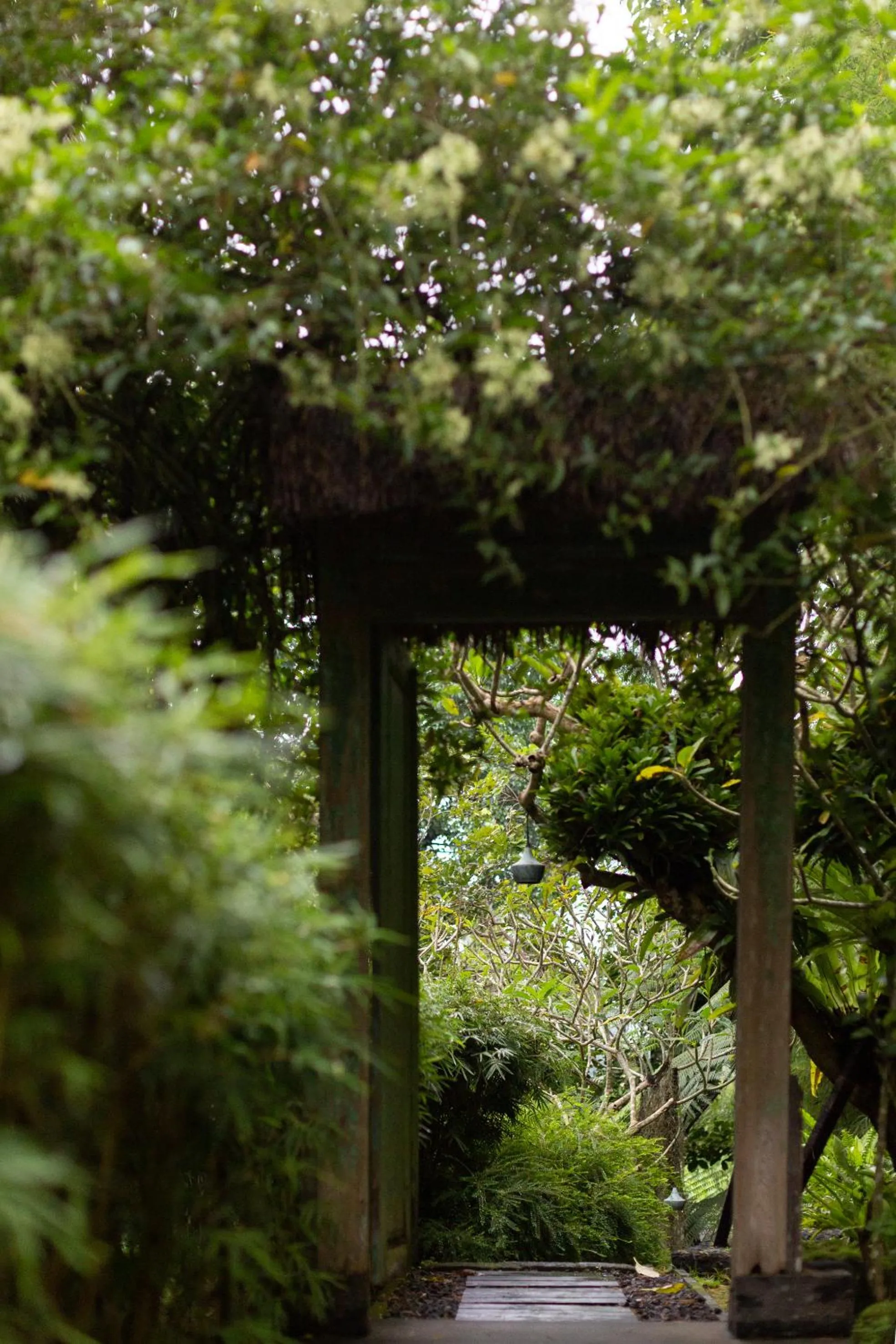 Day in Rumah Hujan