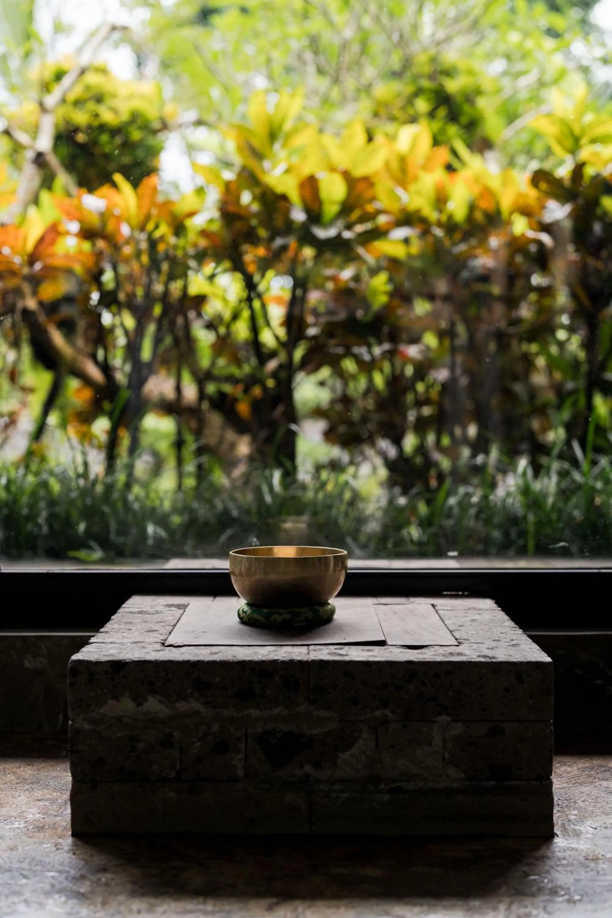 Garden view in Rumah Hujan