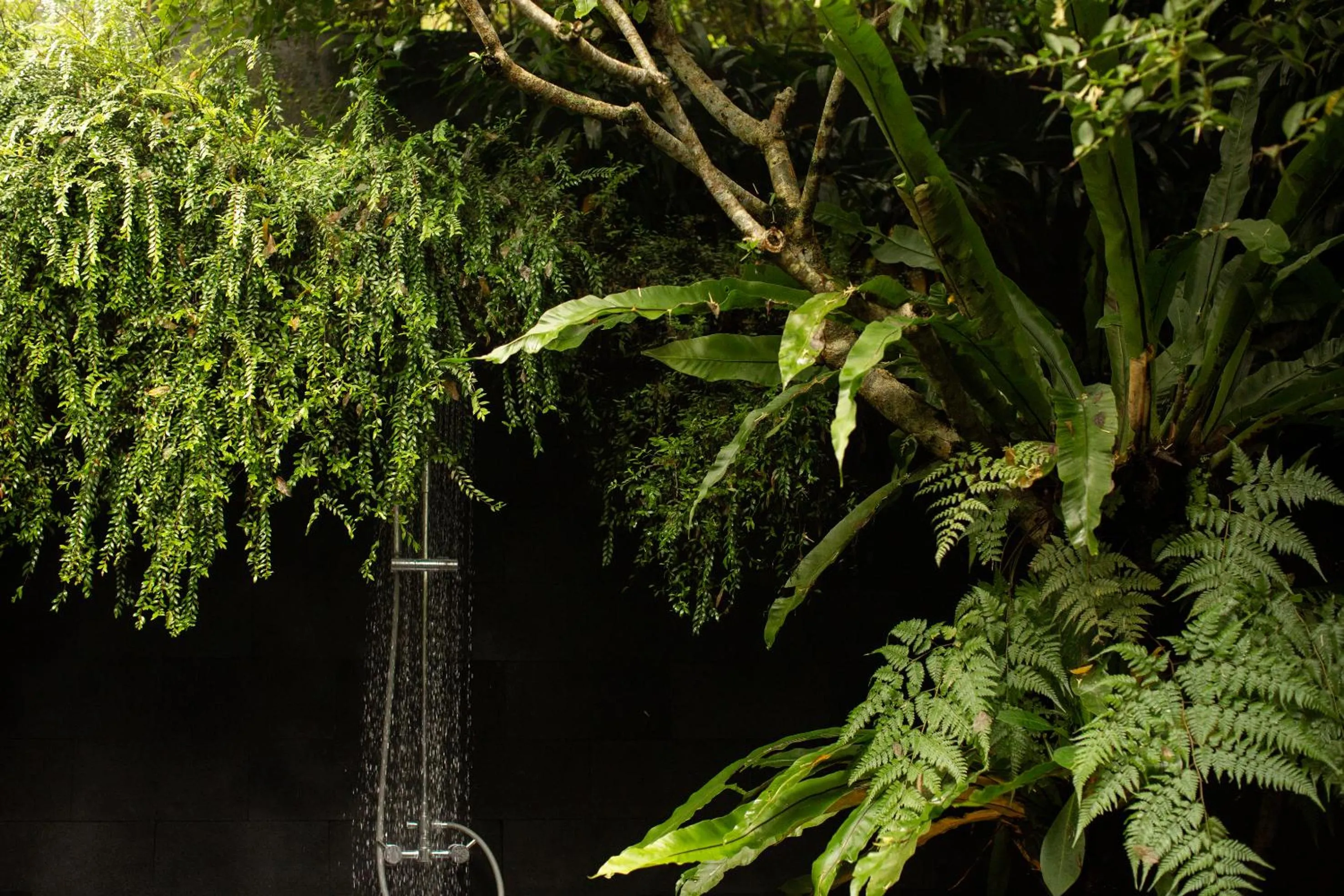 Shower in Rumah Hujan