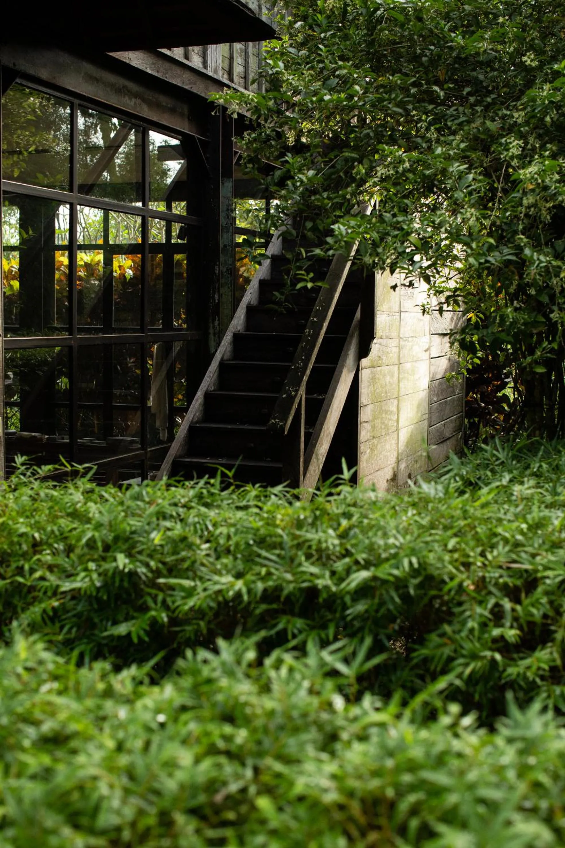 Garden in Rumah Hujan