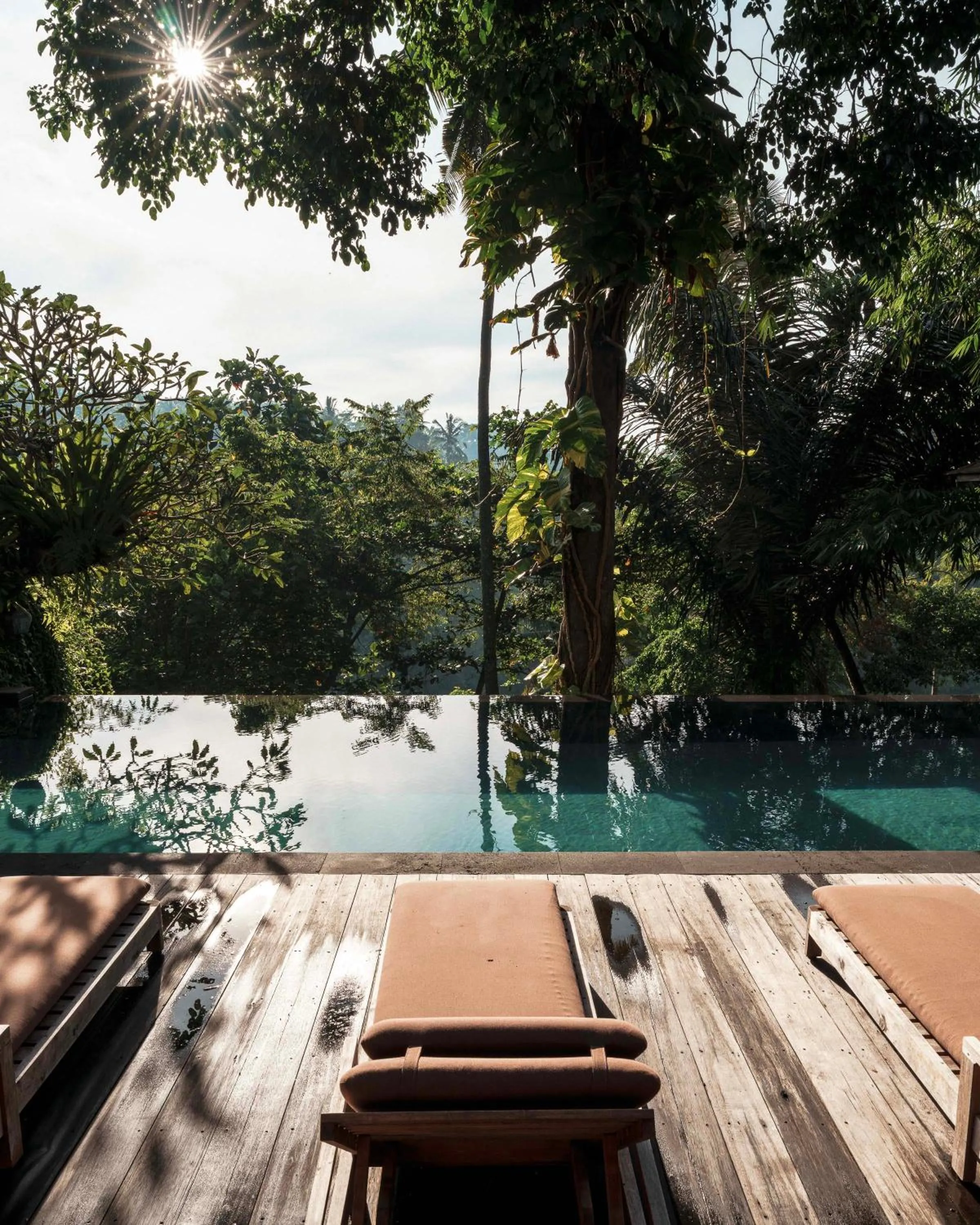 Swimming pool in Rumah Hujan