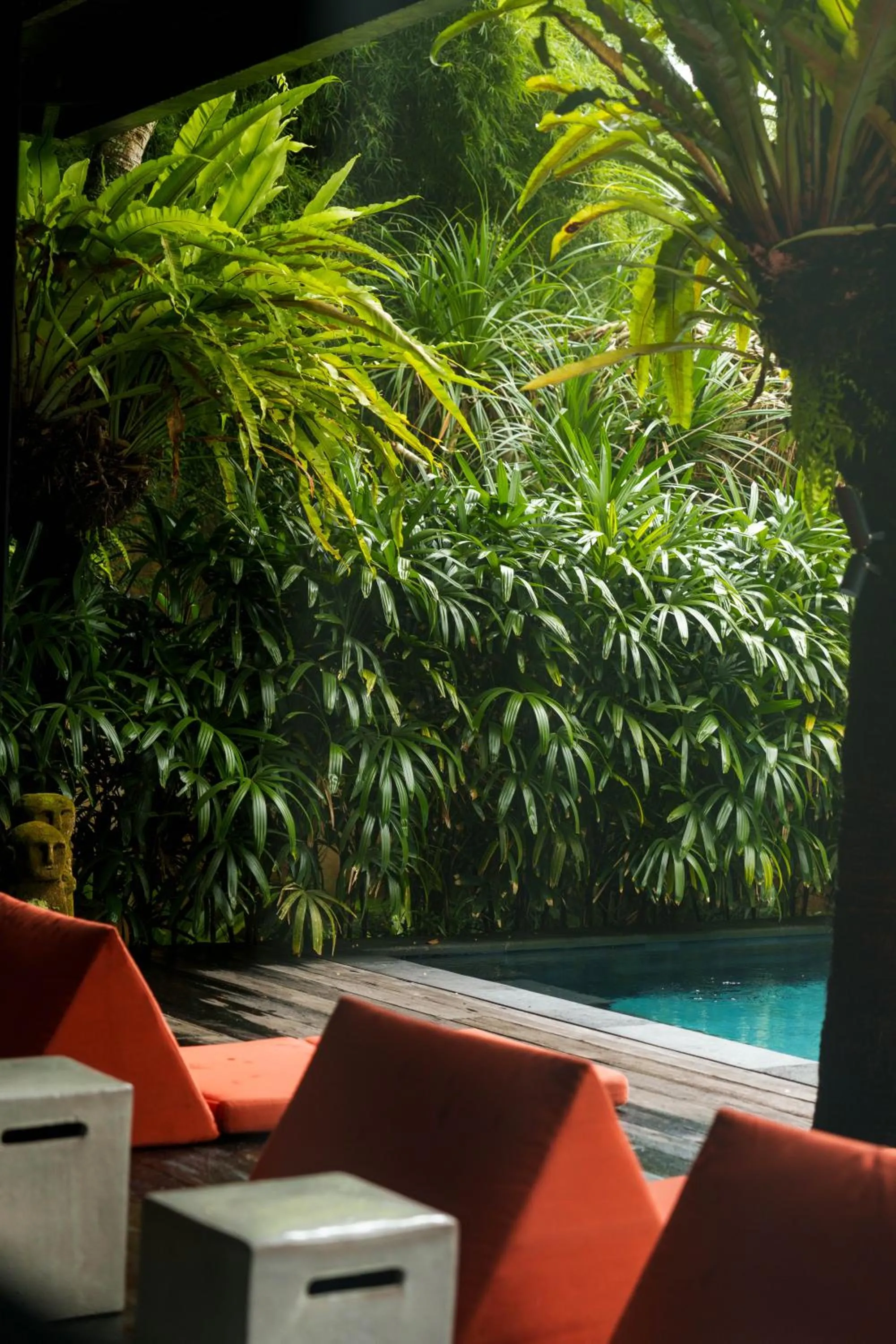 Pool view in Rumah Hujan