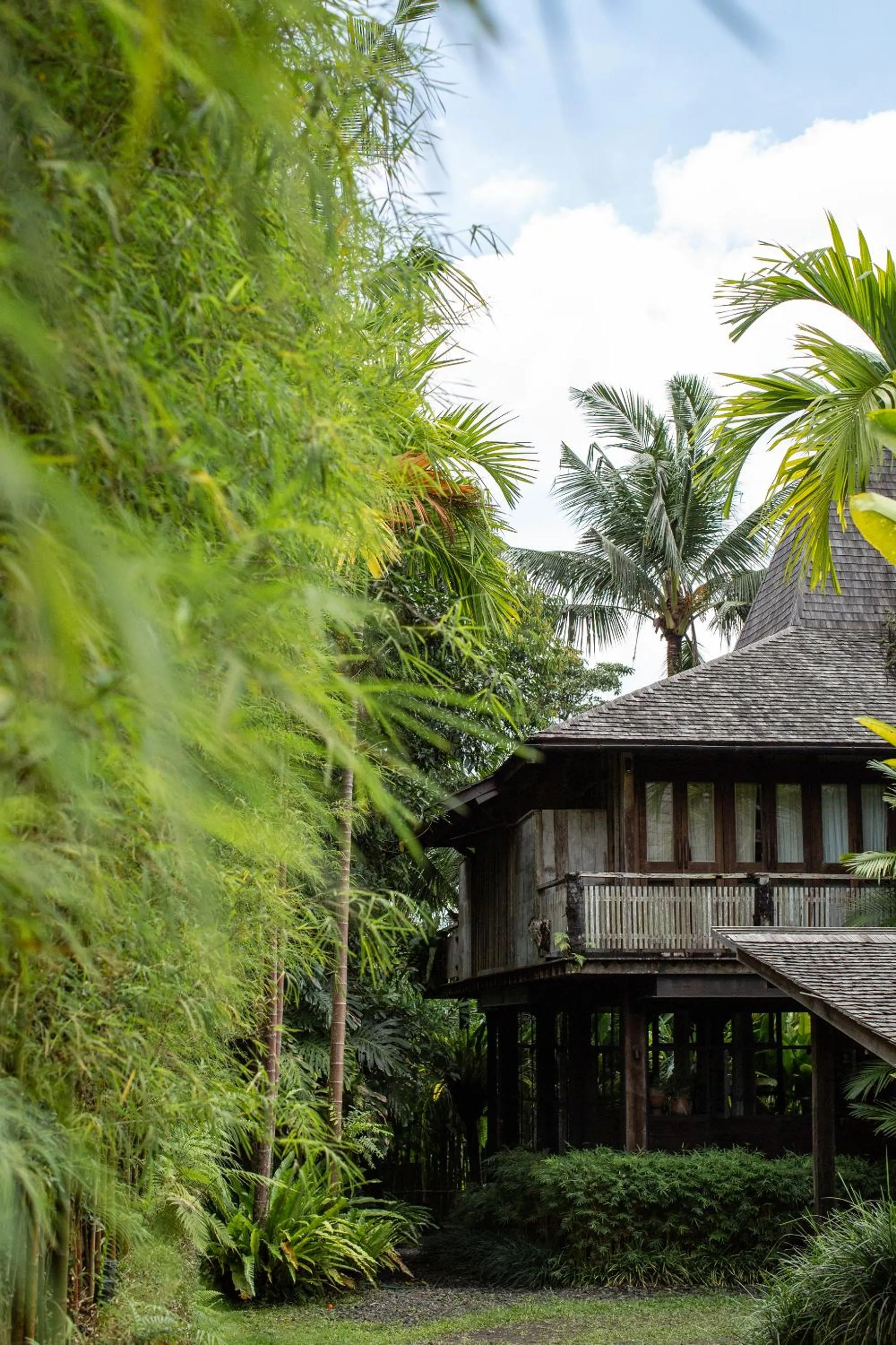 Property building in Rumah Hujan