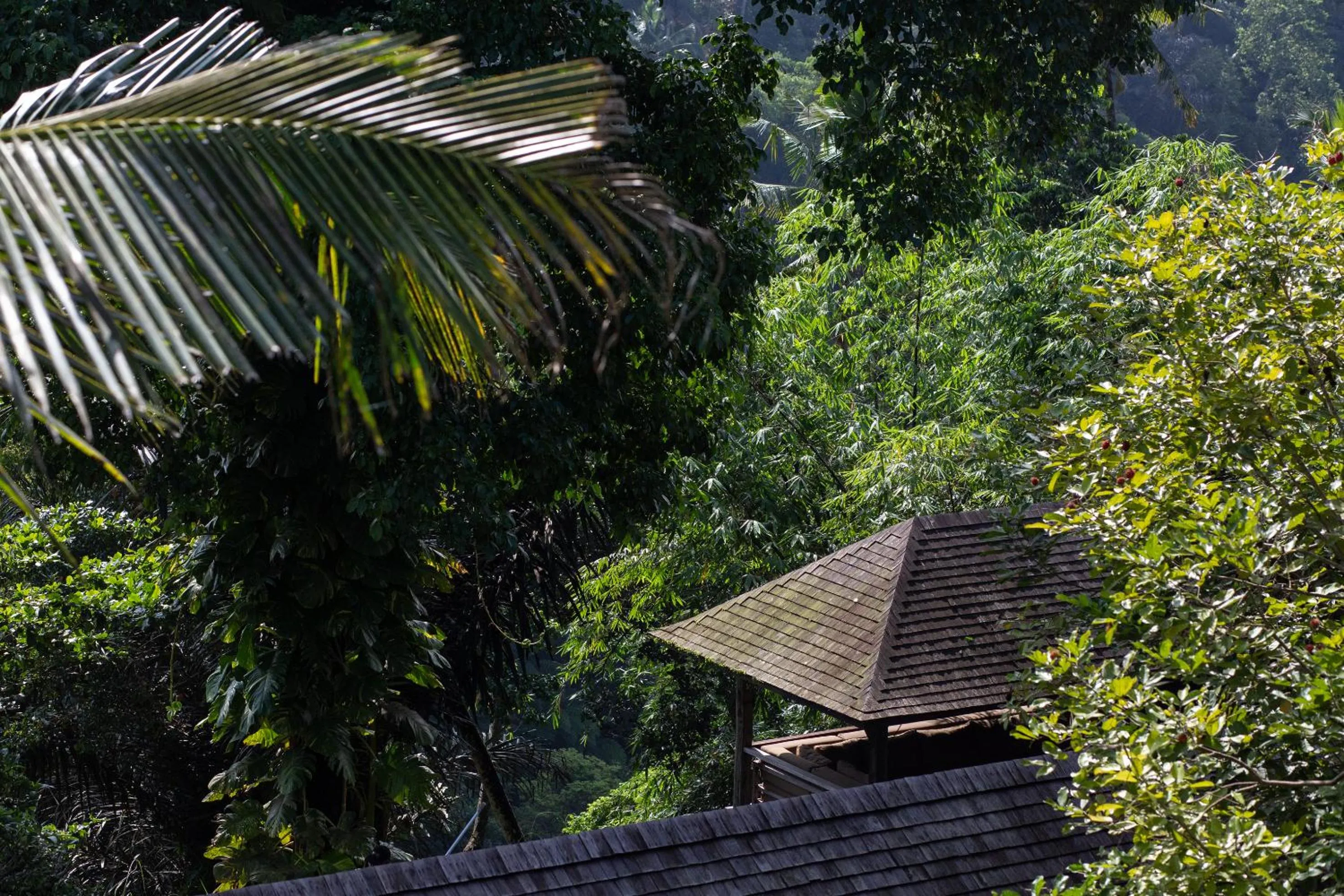 Natural landscape in Rumah Hujan