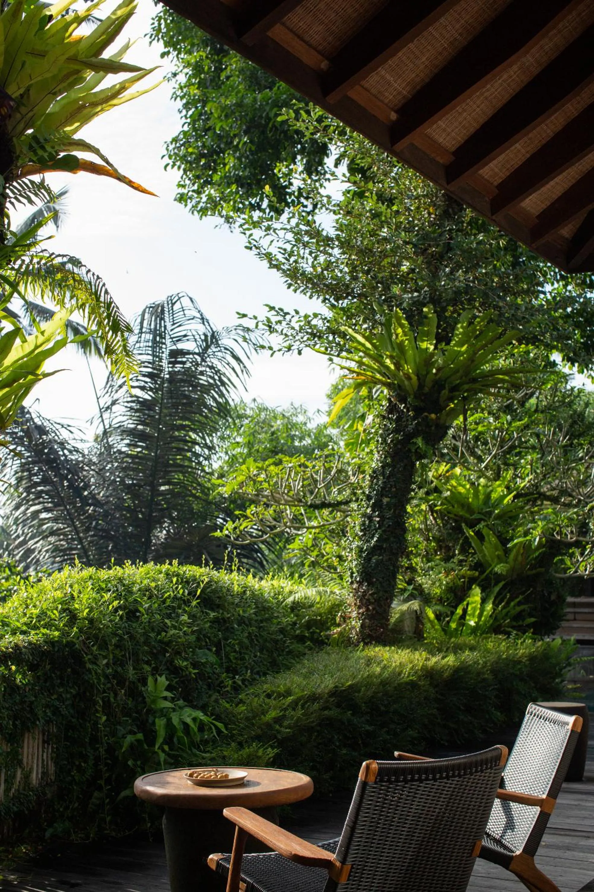 Spring in Rumah Hujan