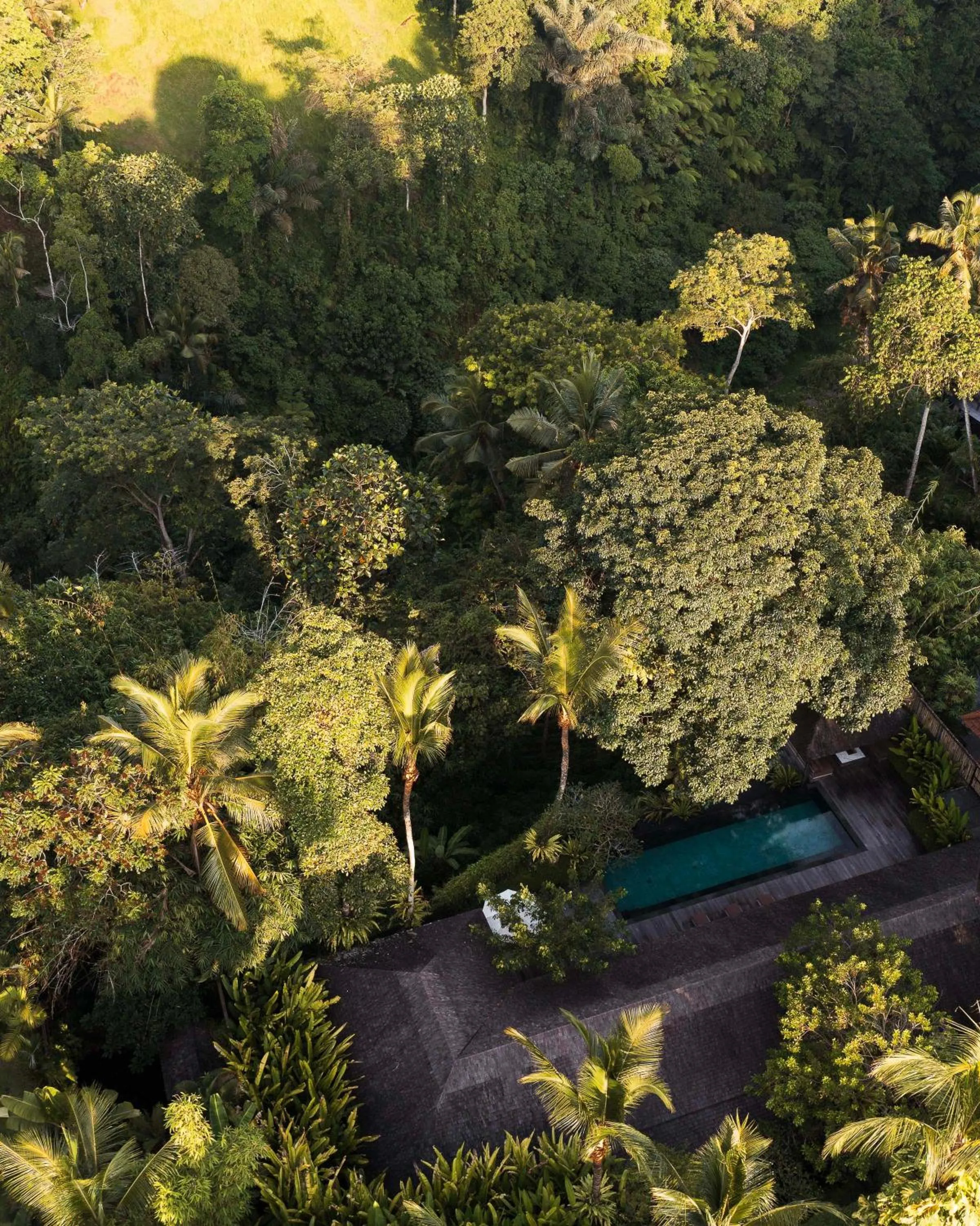 Natural landscape in Rumah Hujan