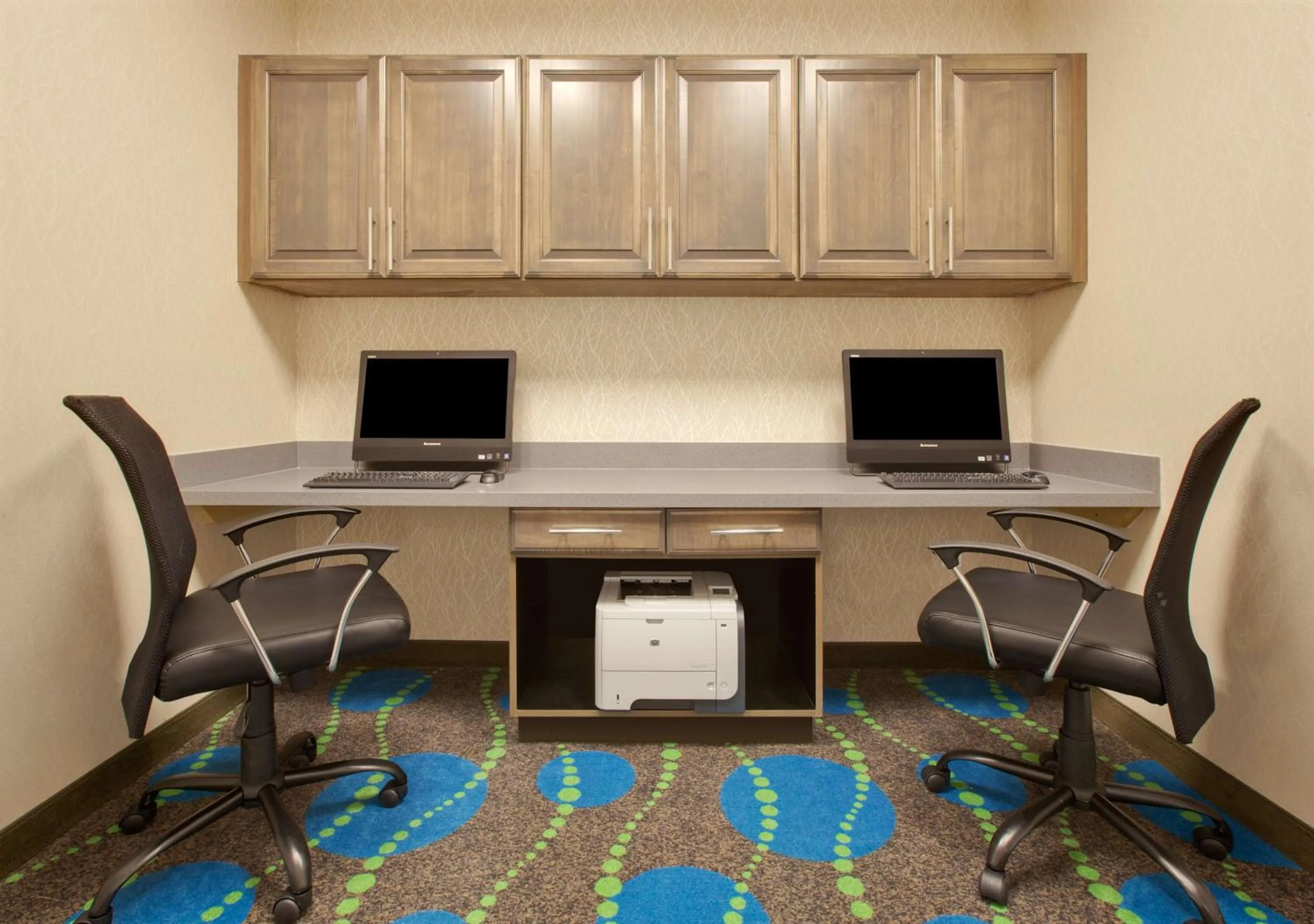 Business facilities in Hampton Inn and Suites Snyder