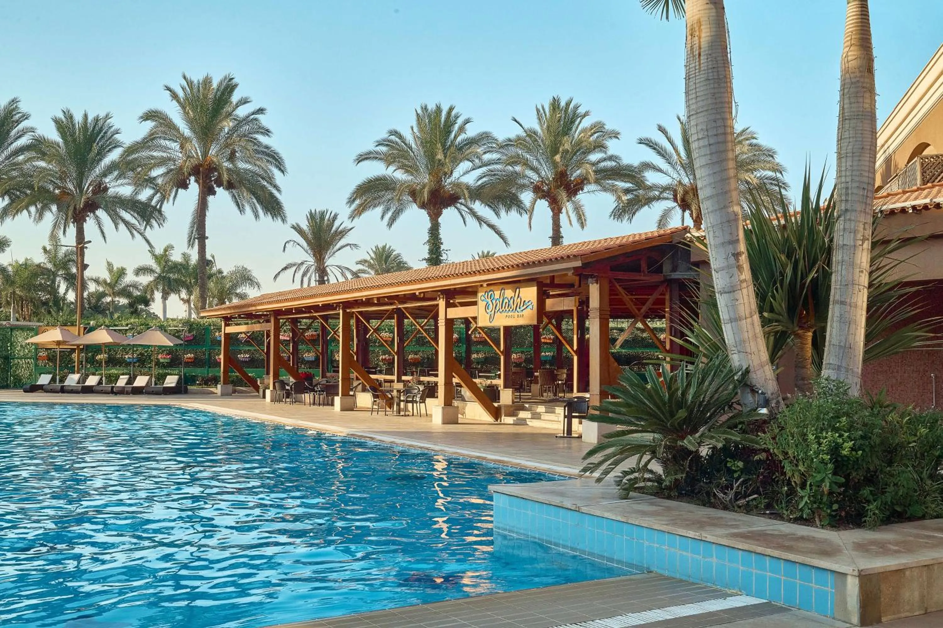 Pool view in Hilton Alexandria King's Ranch Hotel