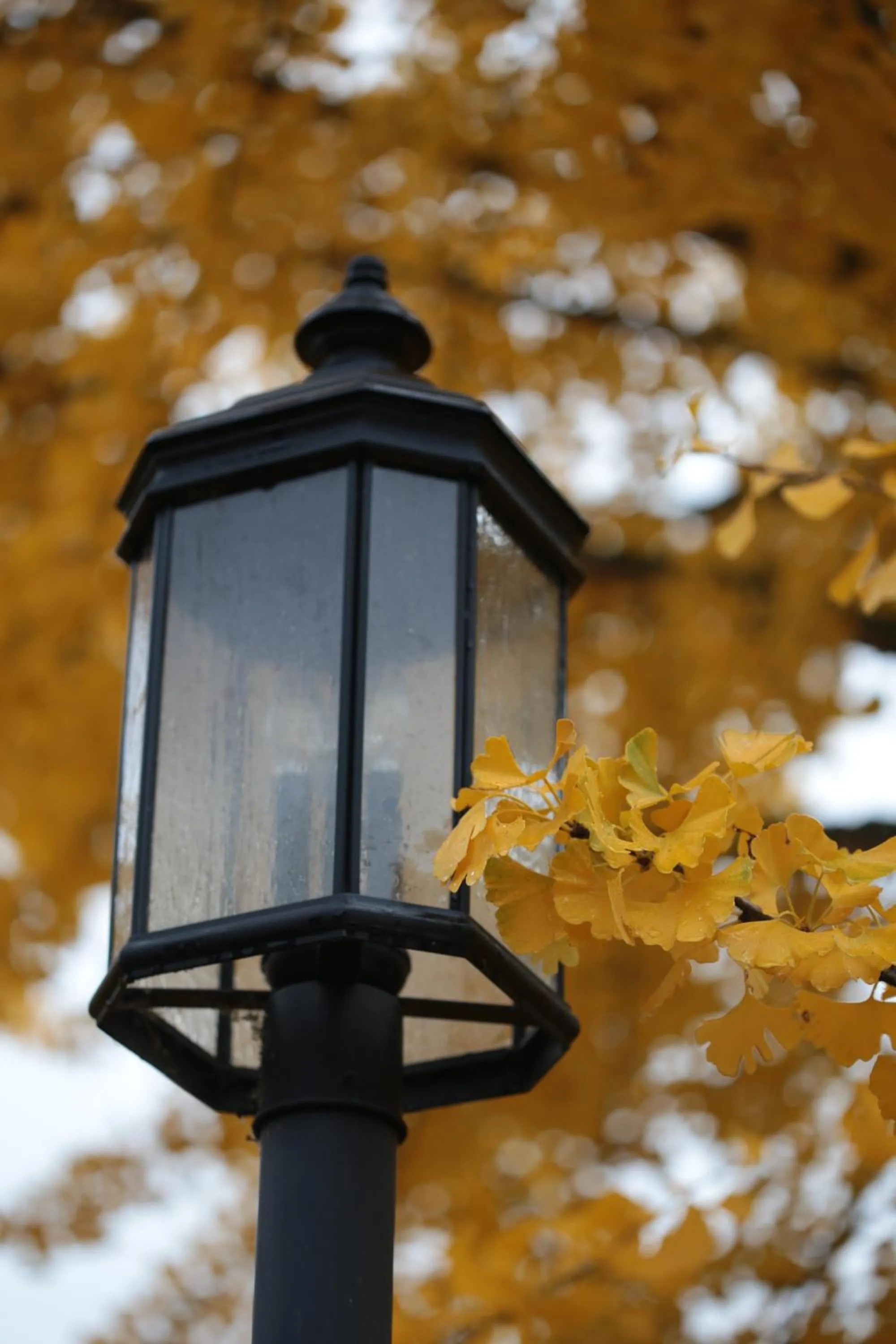 The Inn at Crumpin-Fox