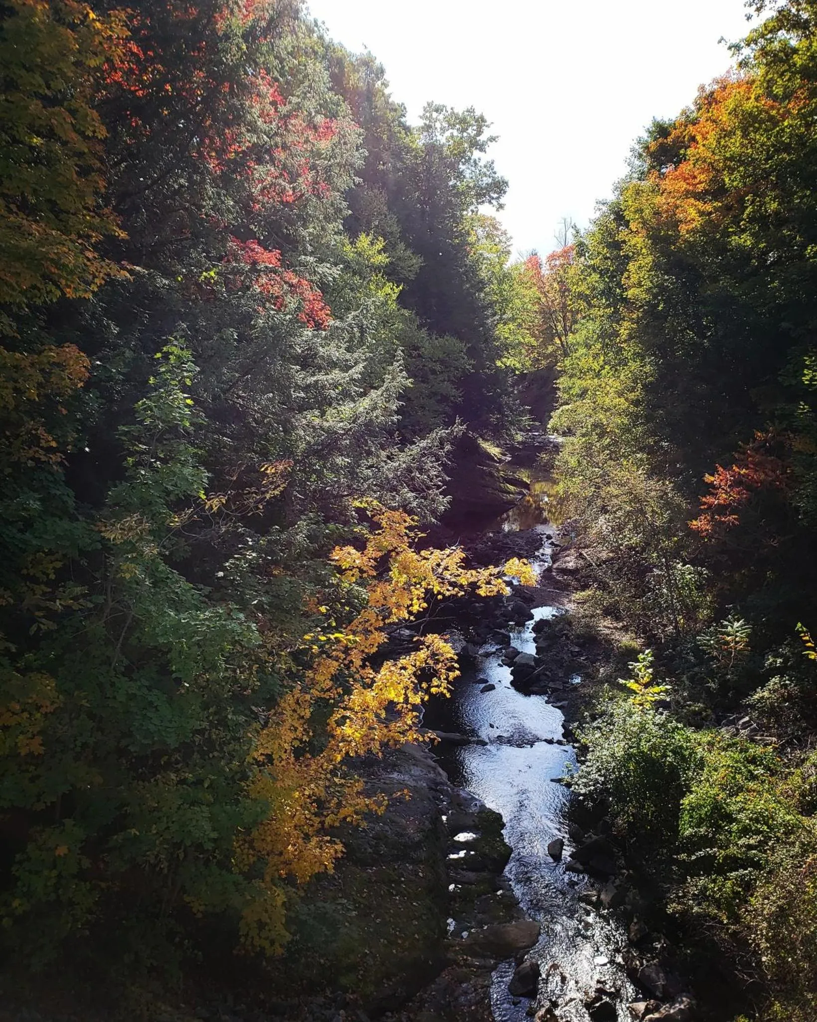 The Inn at Crumpin-Fox