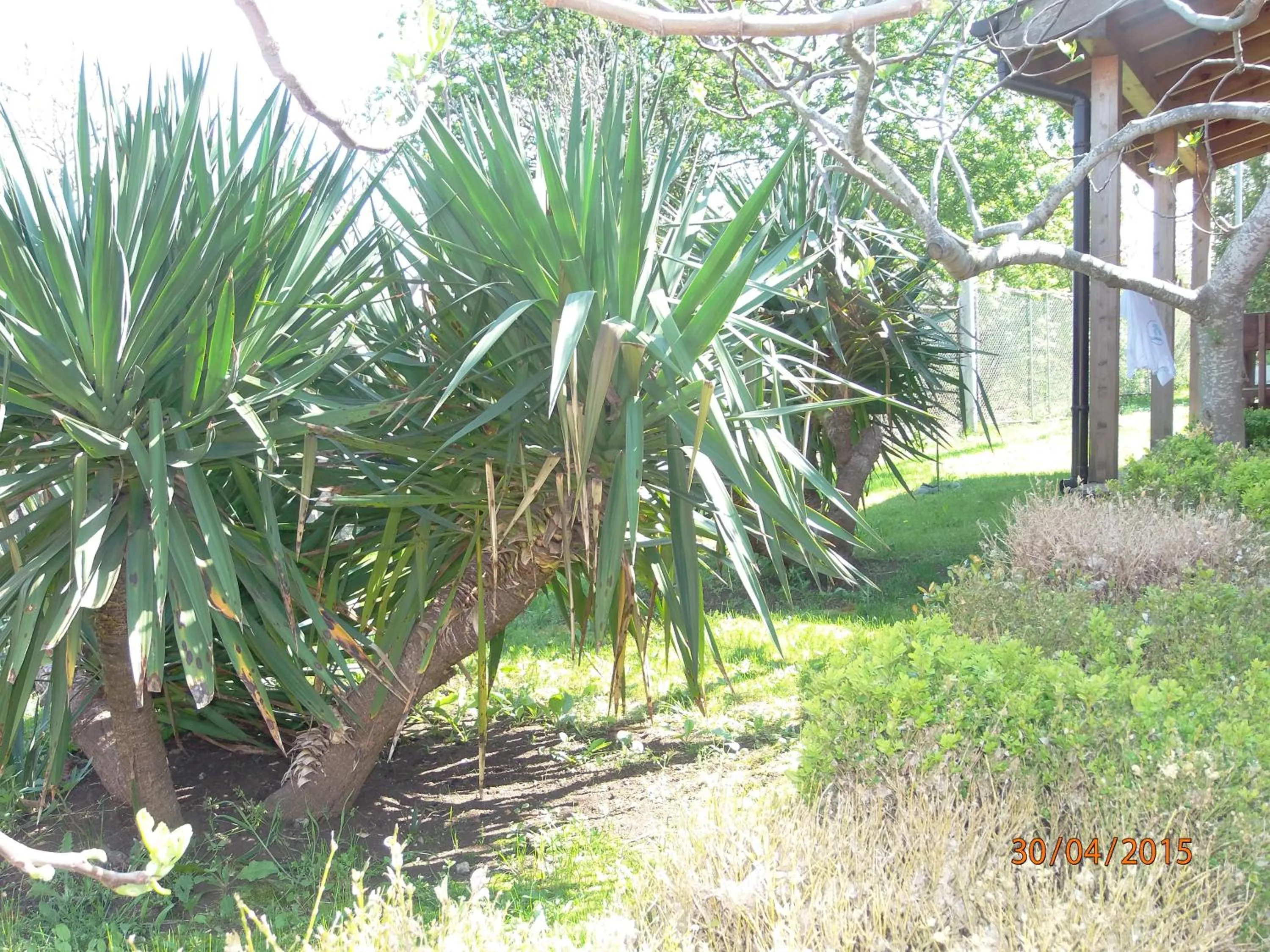 Villas and Bungalows Panorama