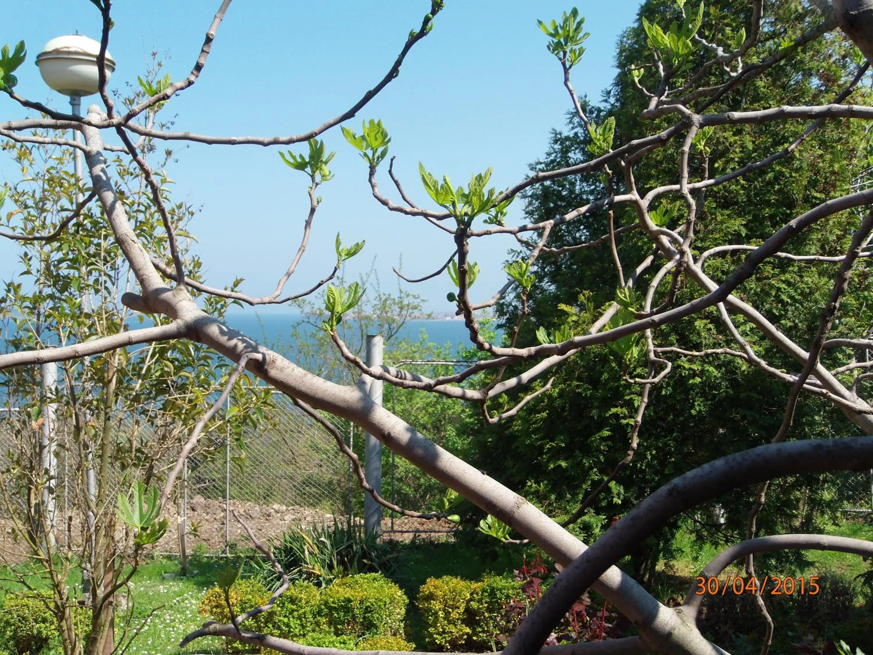 Villas and Bungalows Panorama