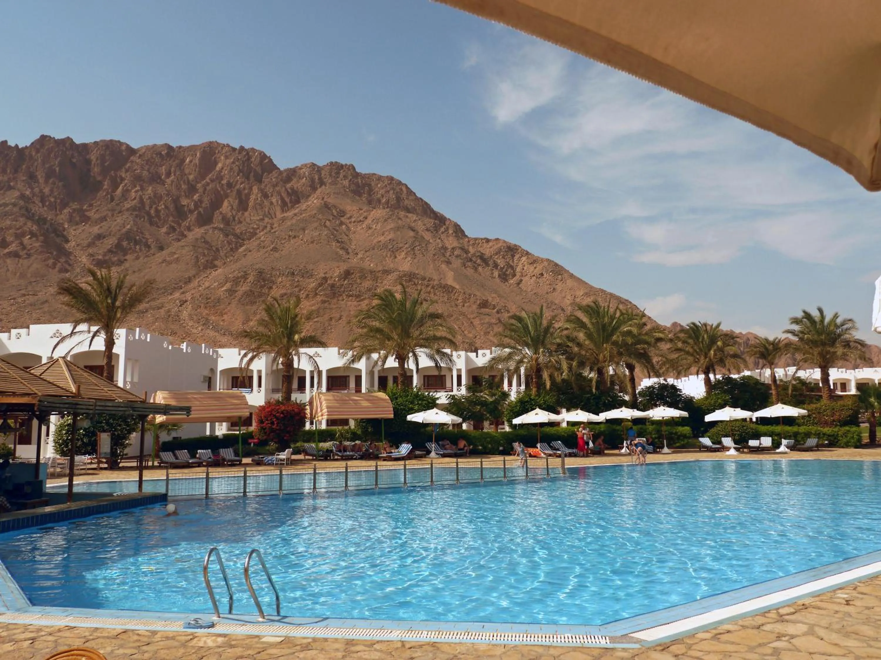 Swimming pool in Happy Life Village Dahab