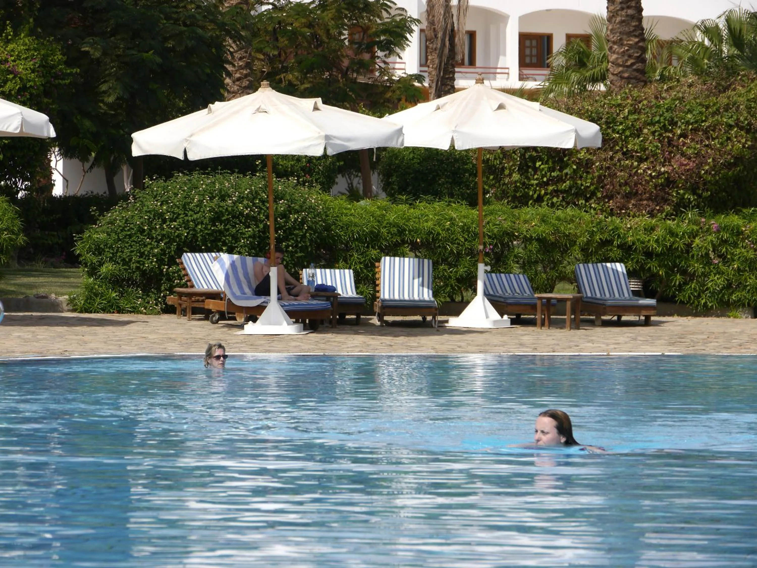 Swimming pool in Happy Life Village Dahab