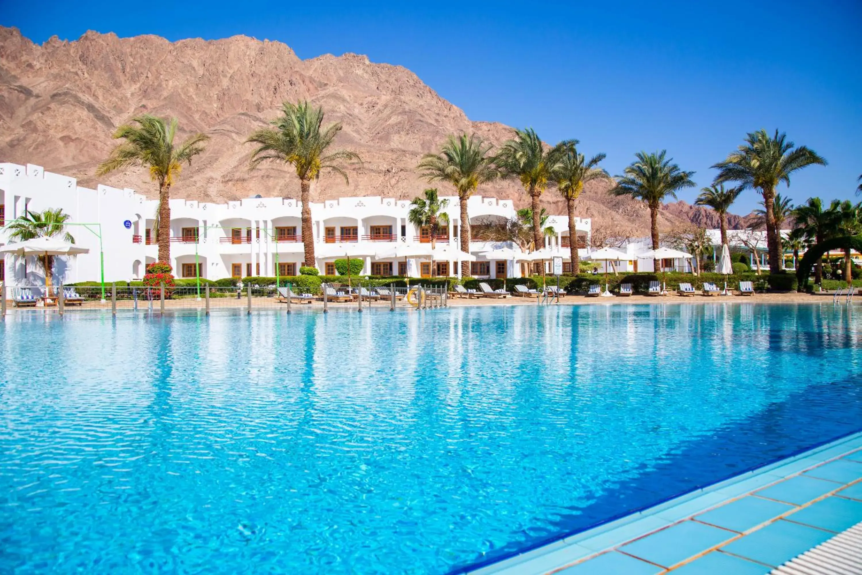 Swimming pool in Happy Life Village Dahab Swimming pool in Happy Life Village Dahab