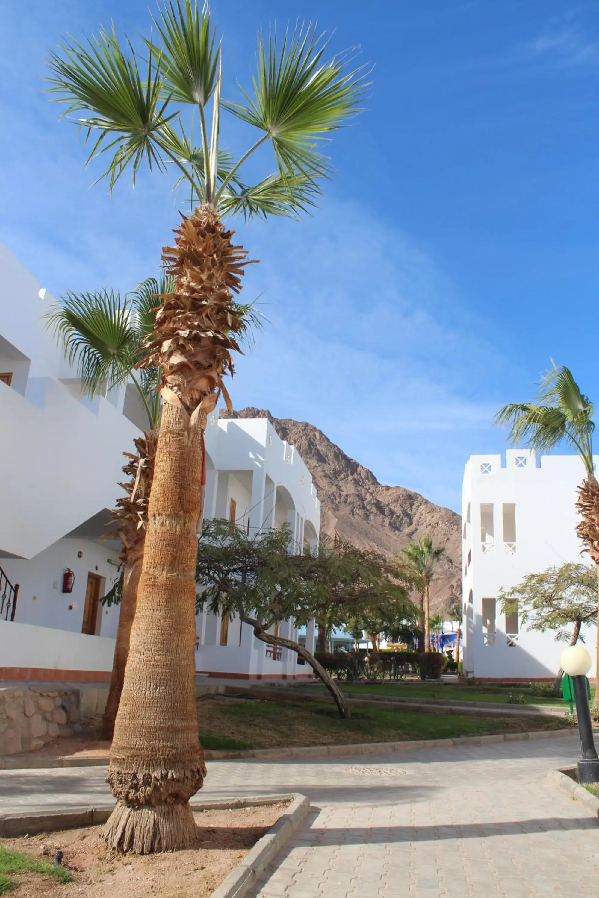 Double Room with Mountain View - single occupancy in Happy Life Village Dahab Double Room with Mountain View - single occupancy in Happy Life Village Dahab