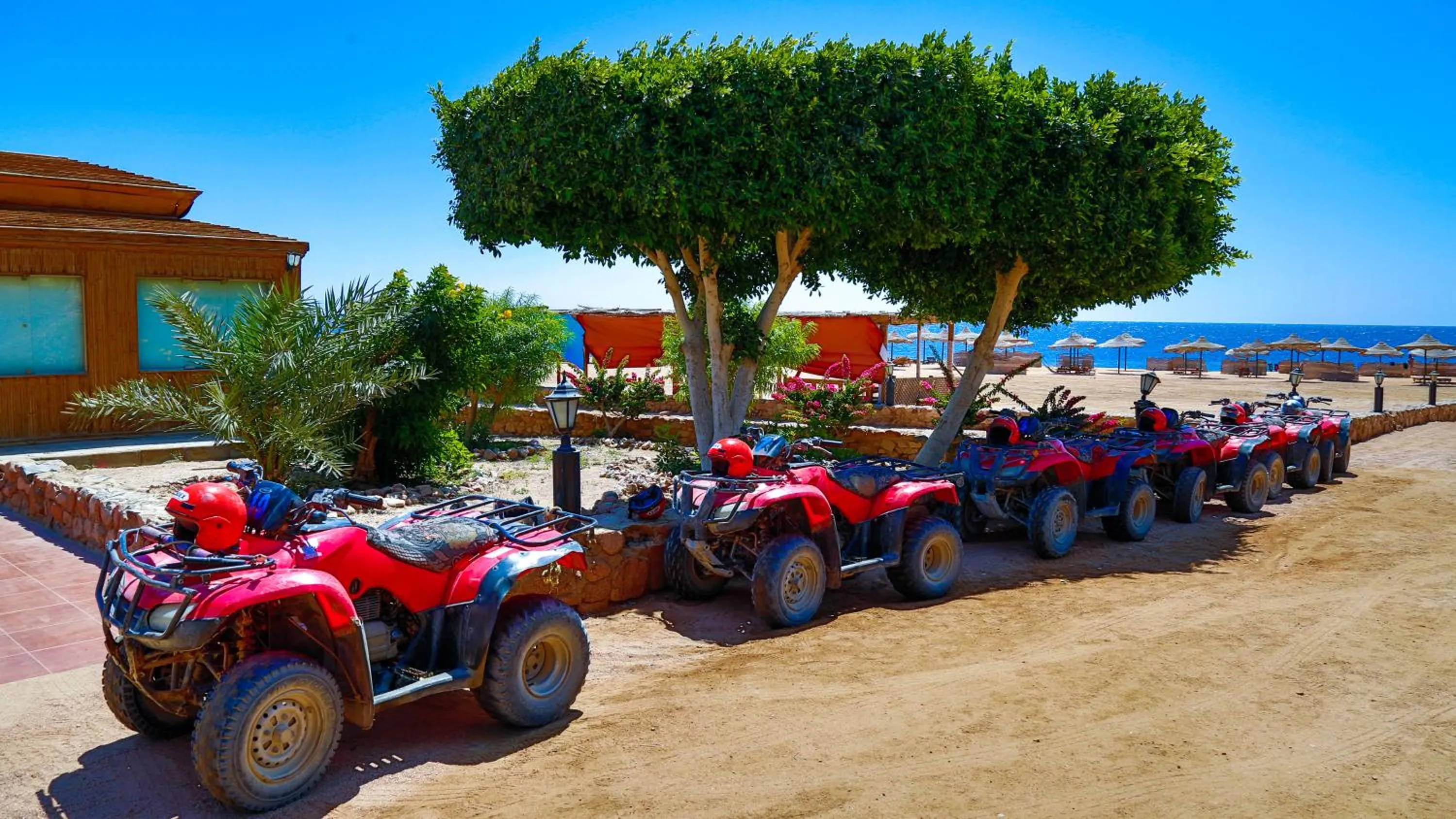 Business facilities in Happy Life Village Dahab