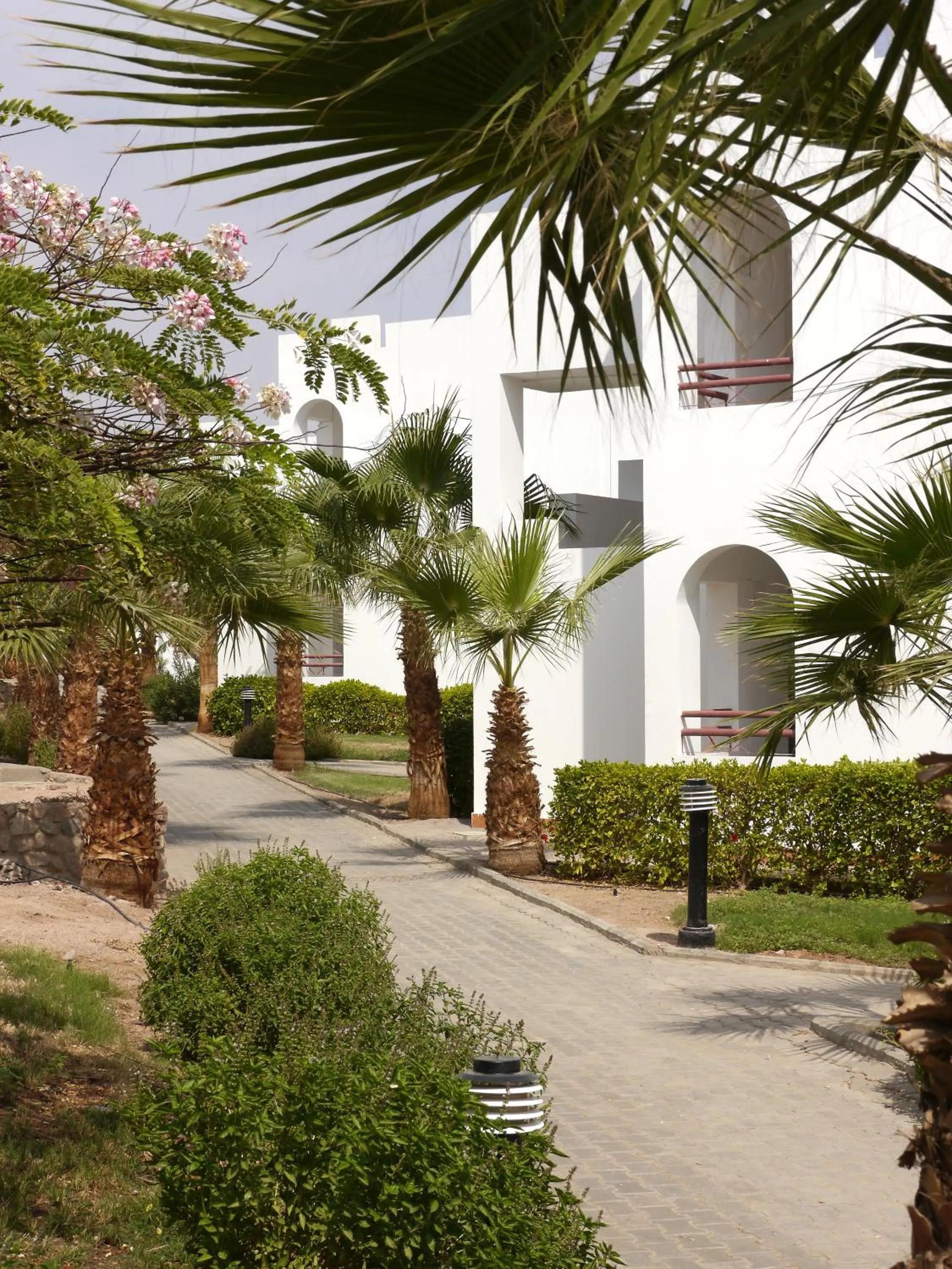 Garden in Happy Life Village Dahab