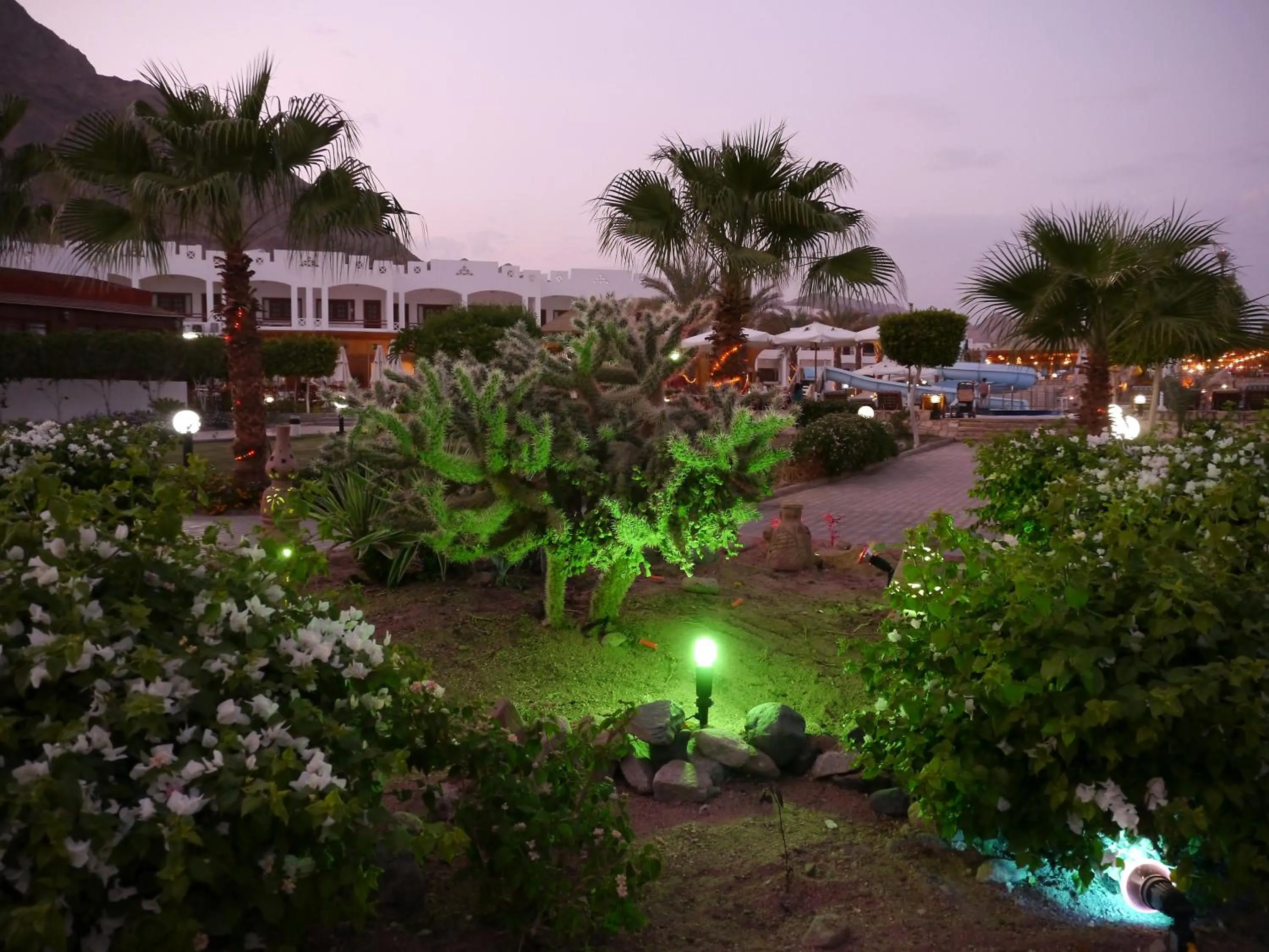 Garden in Happy Life Village Dahab