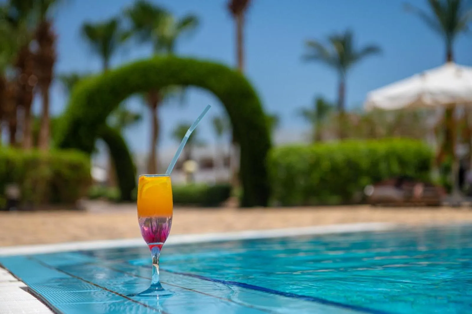 Swimming pool in Happy Life Village Dahab