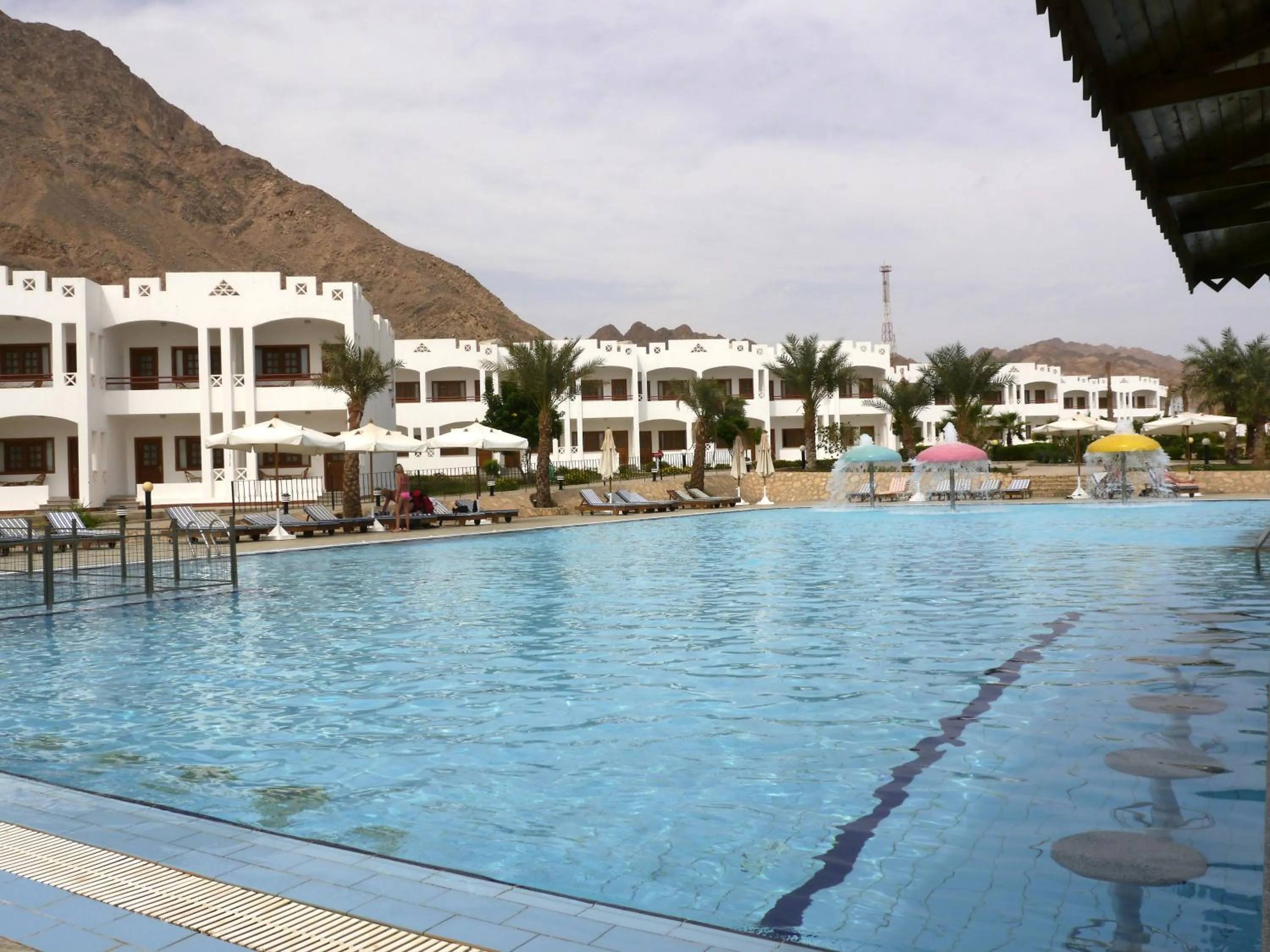 Swimming pool in Happy Life Village Dahab