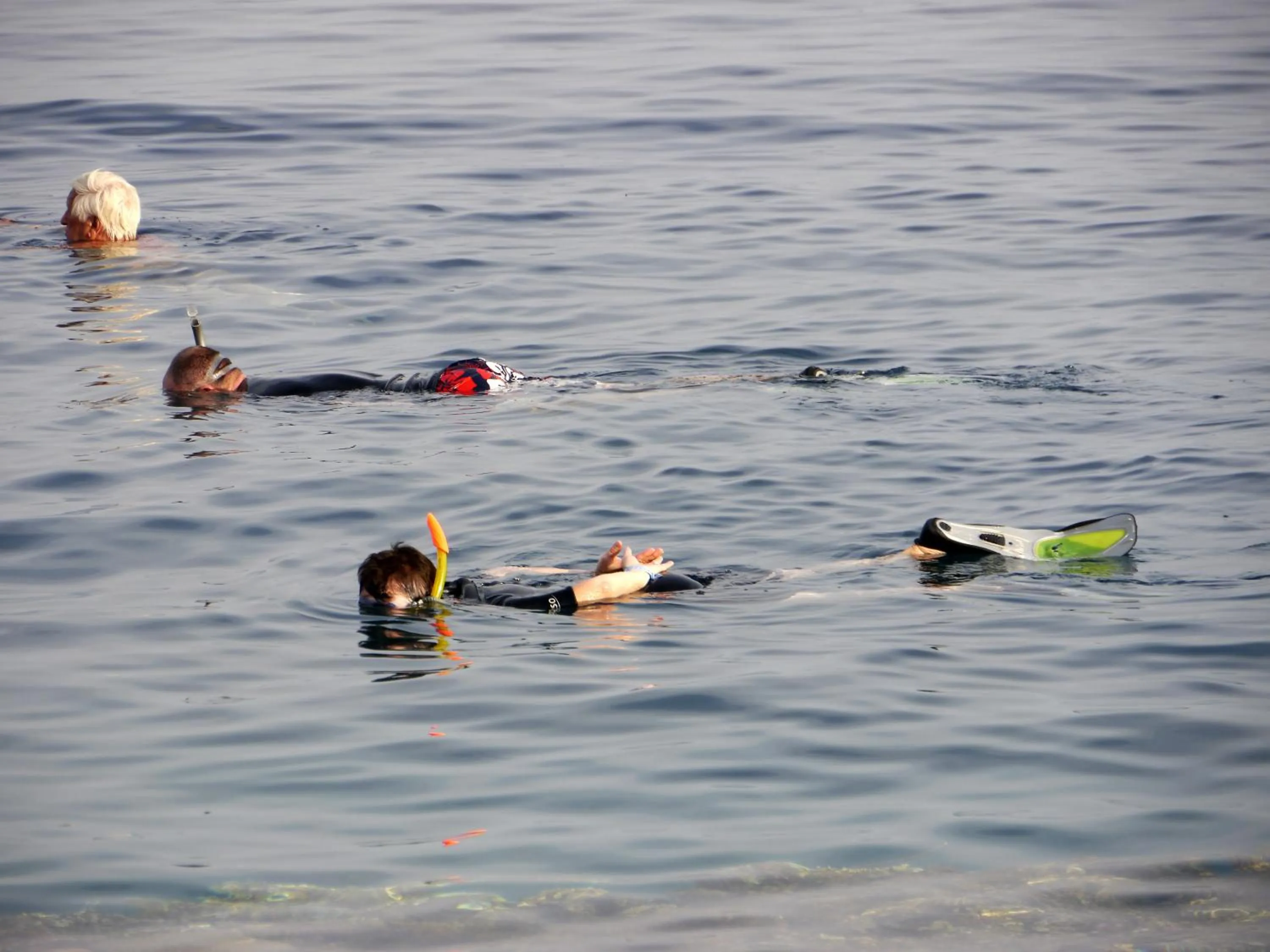 Snorkeling in Happy Life Village Dahab