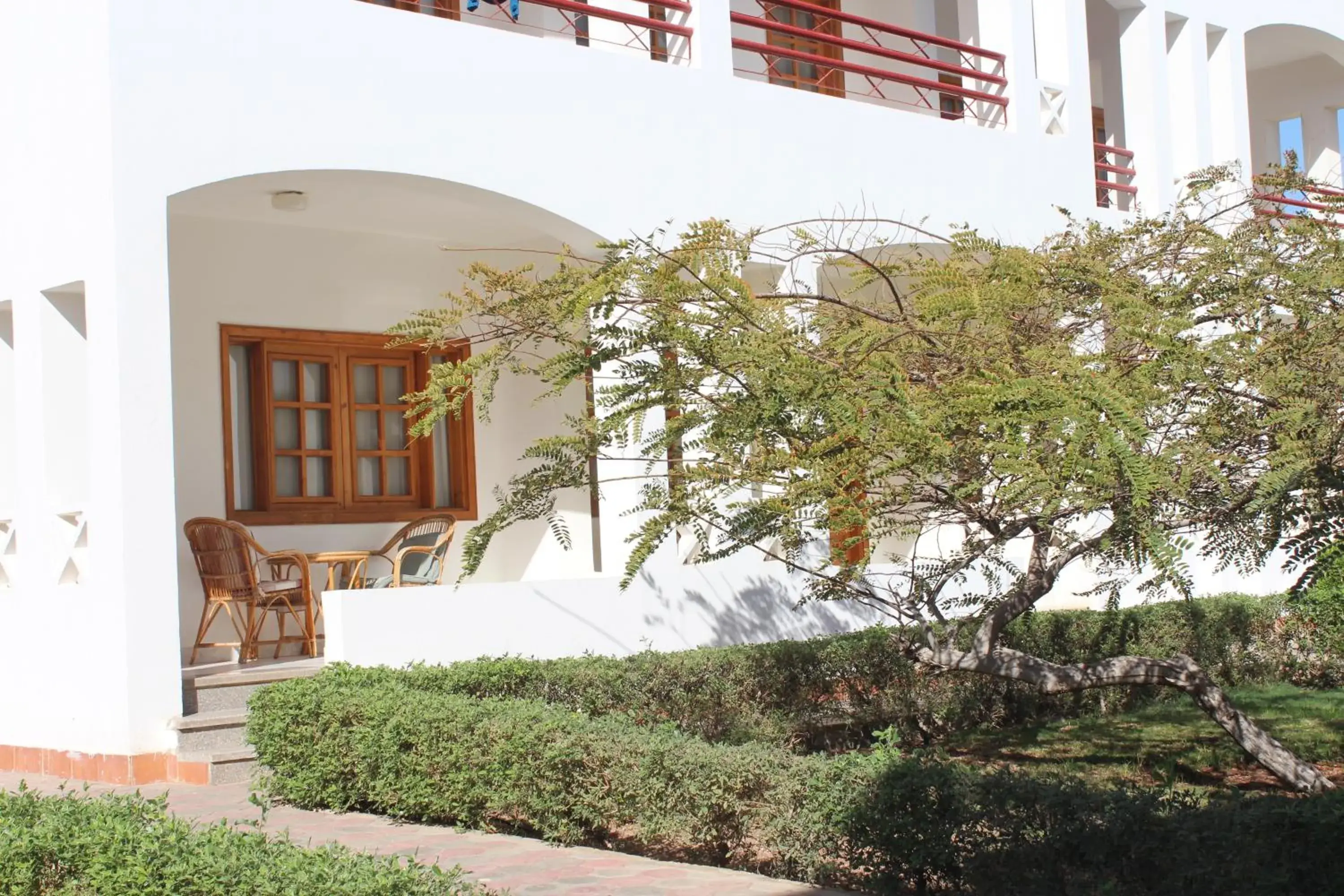 Double Room with Garden View - single occupancy in Happy Life Village Dahab Double Room with Garden View - single occupancy in Happy Life Village Dahab