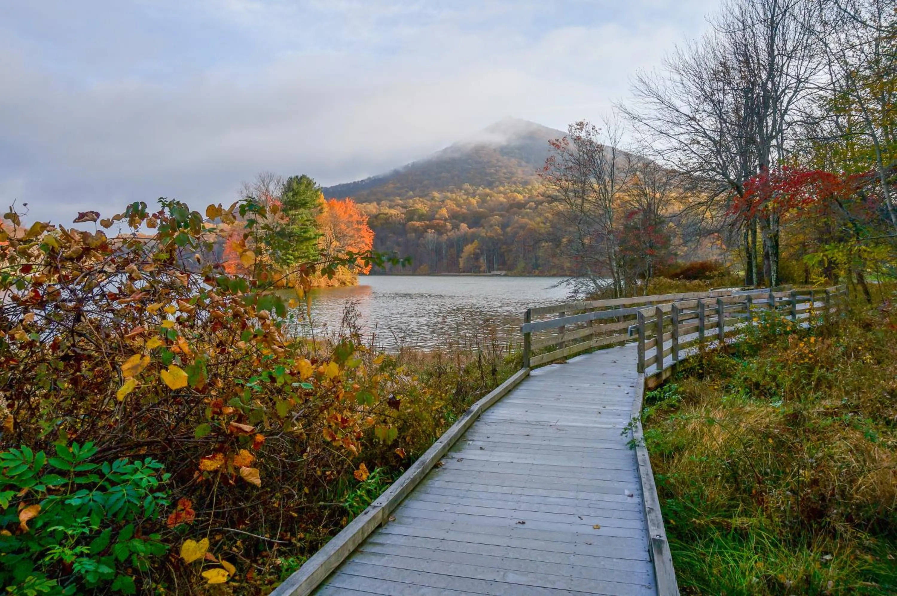 Peaks of Otter Lodge