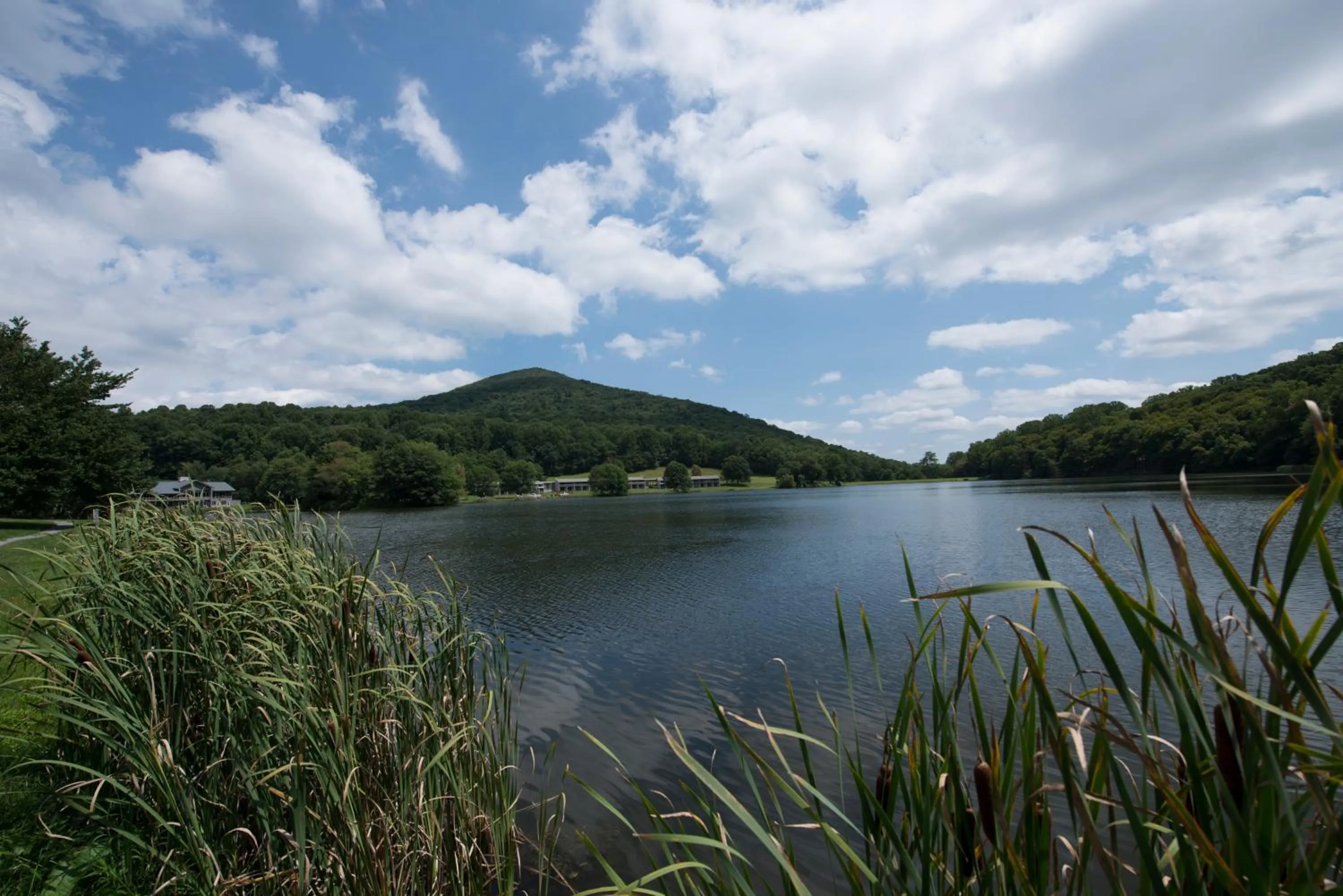 Peaks of Otter Lodge