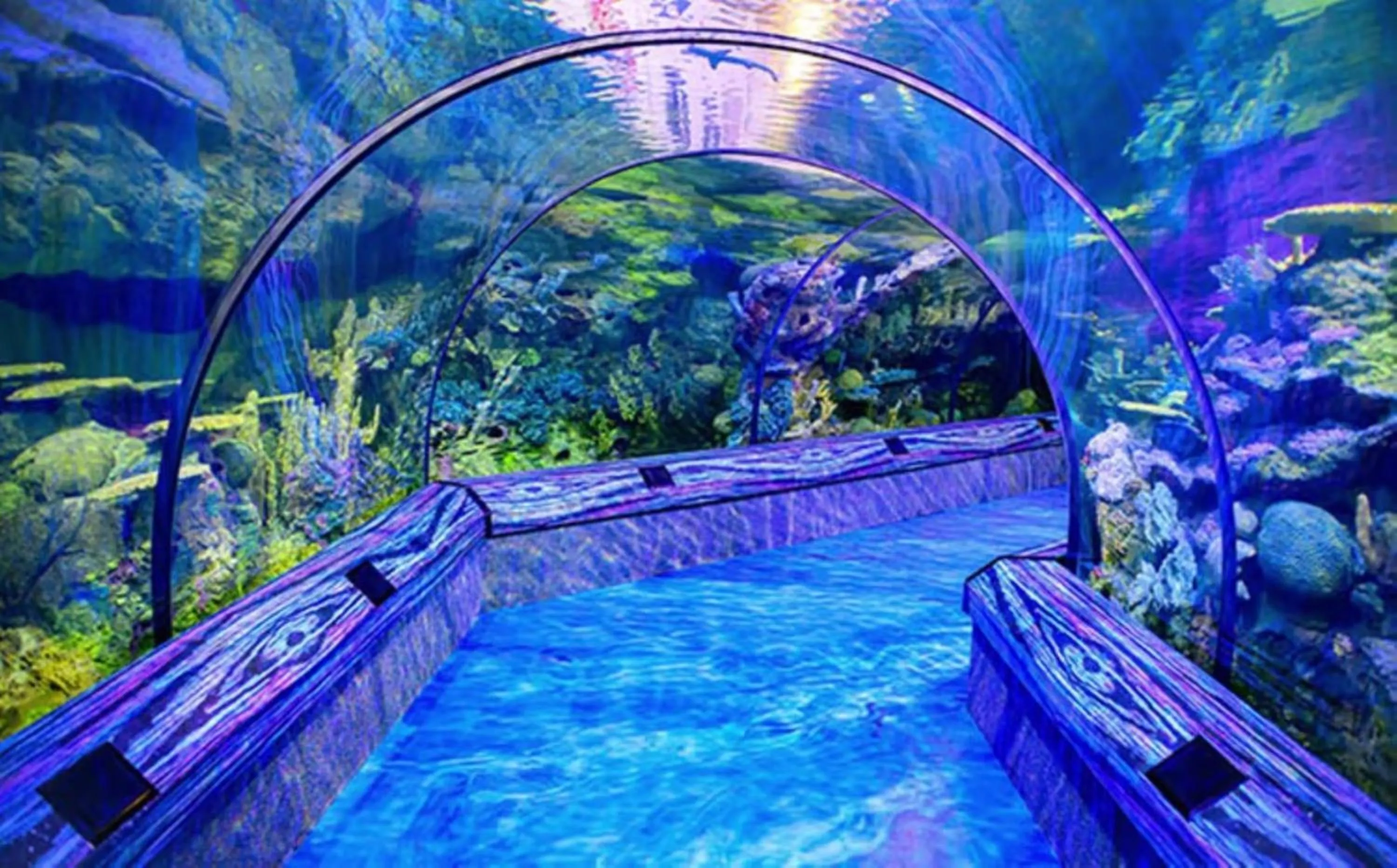 Area and facilities in Montreal Suites Orlando