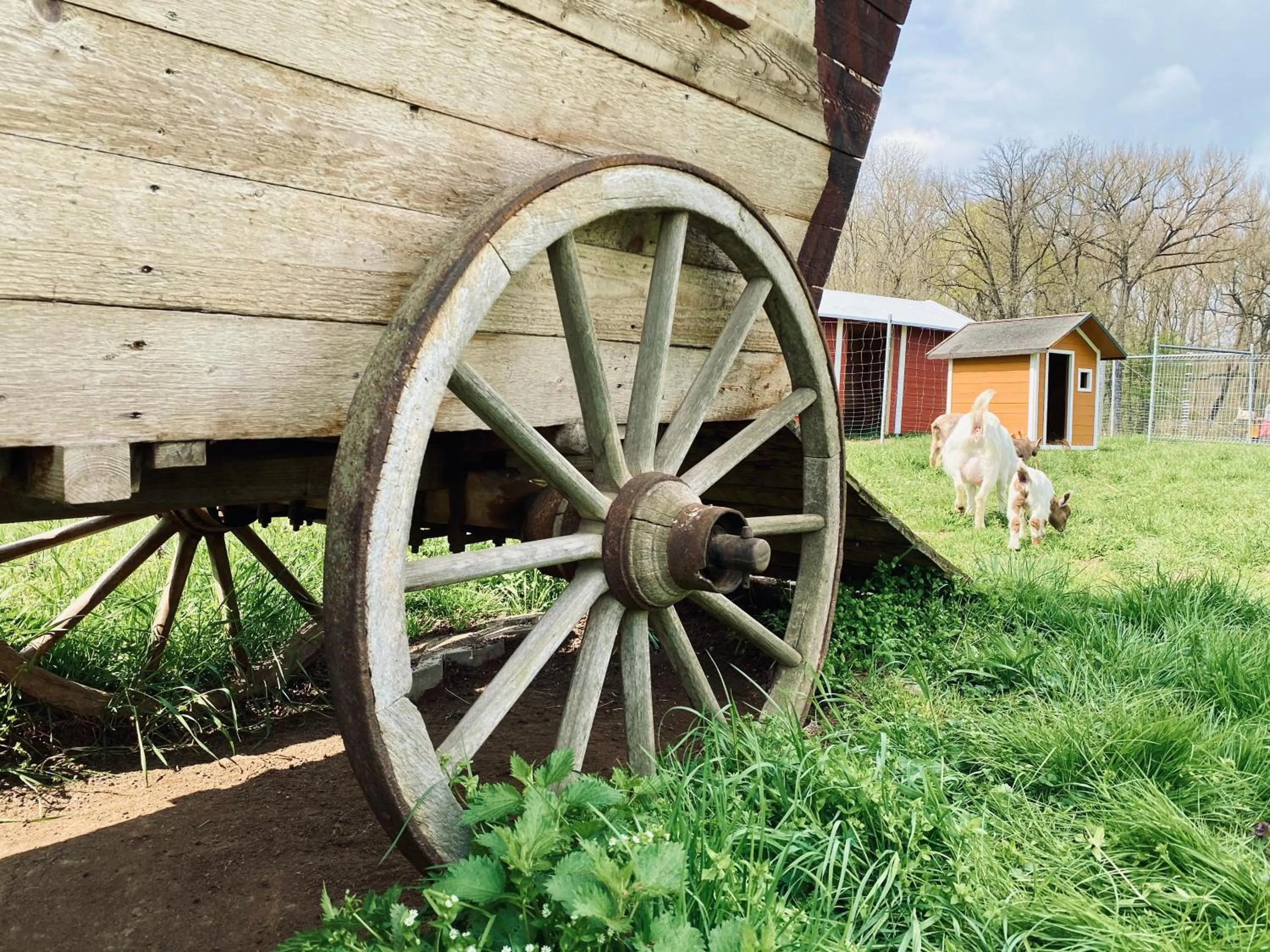 Patio in Ölmühle Eberstedt