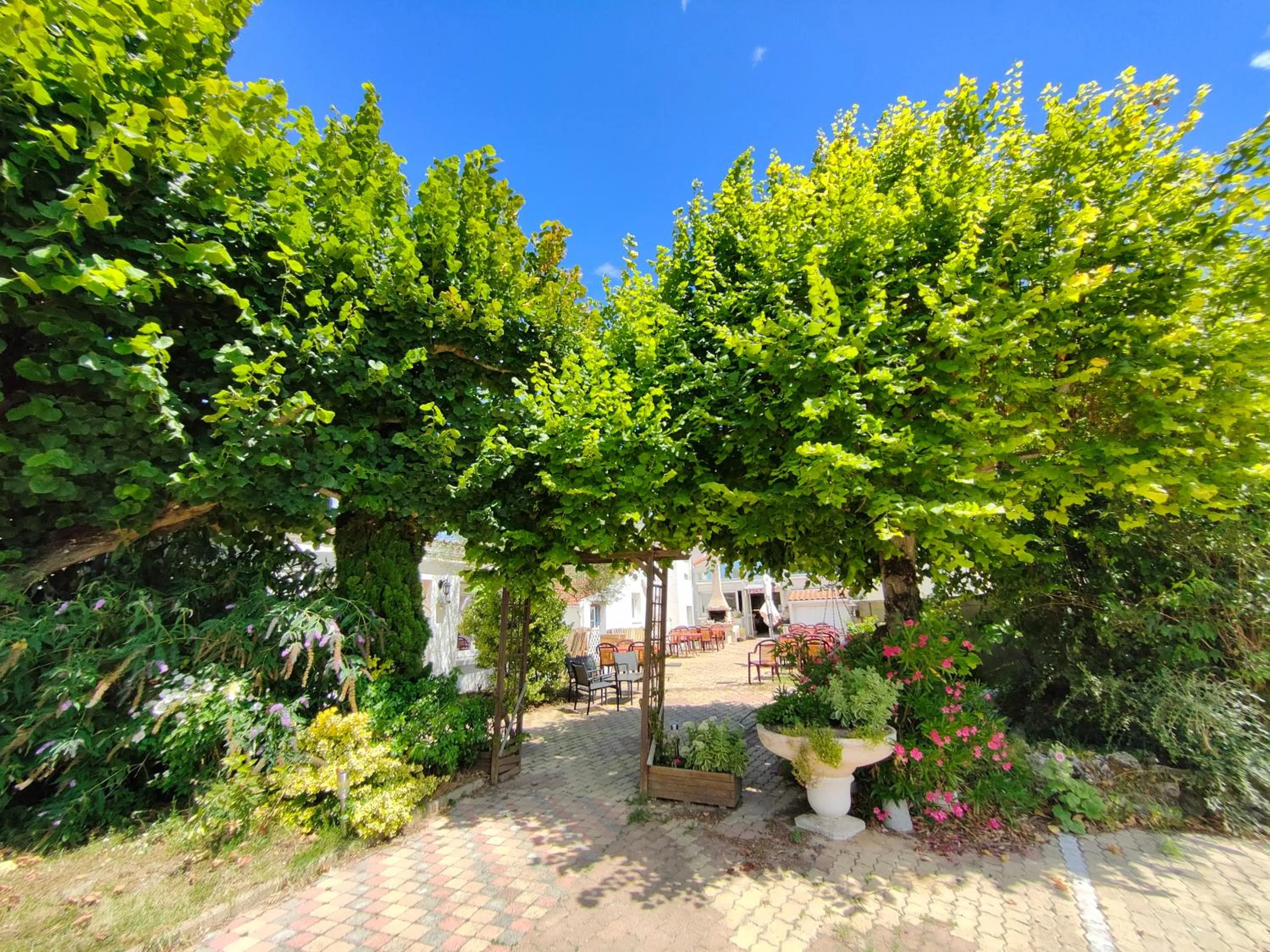 Garden in Auberge Le Chata