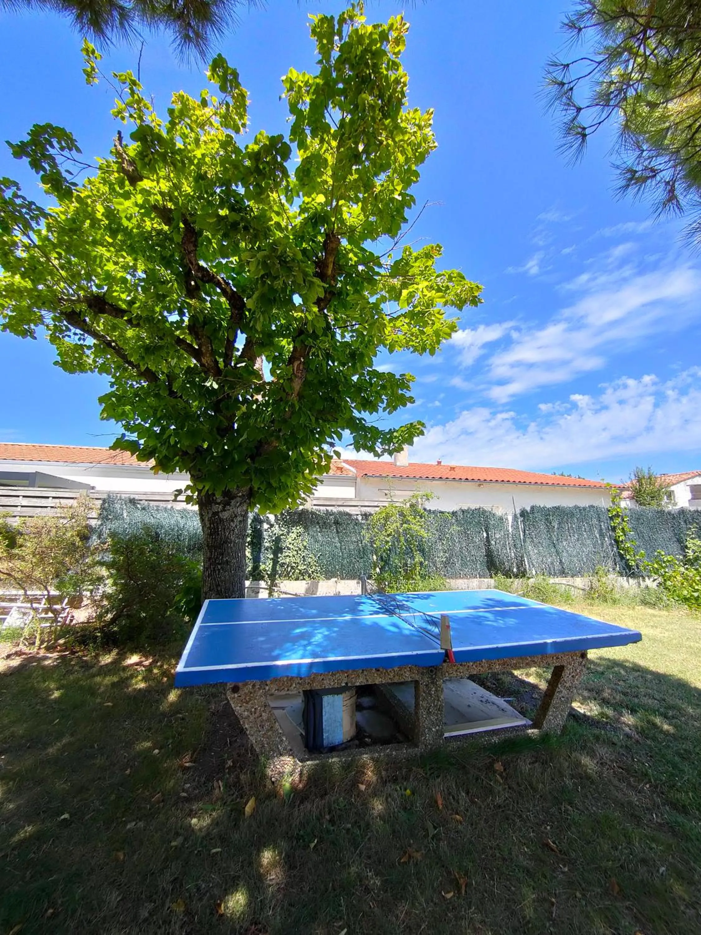 Table tennis in Auberge Le Chata