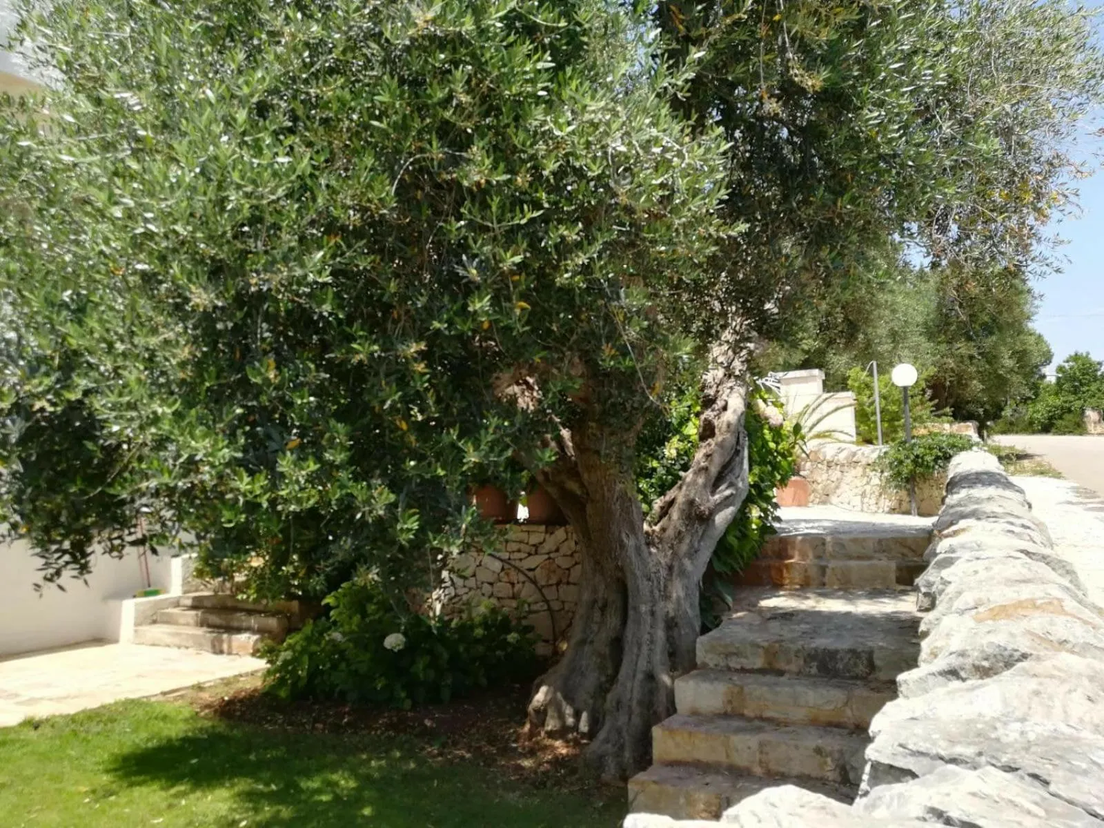 Property building in Residenza Aurora