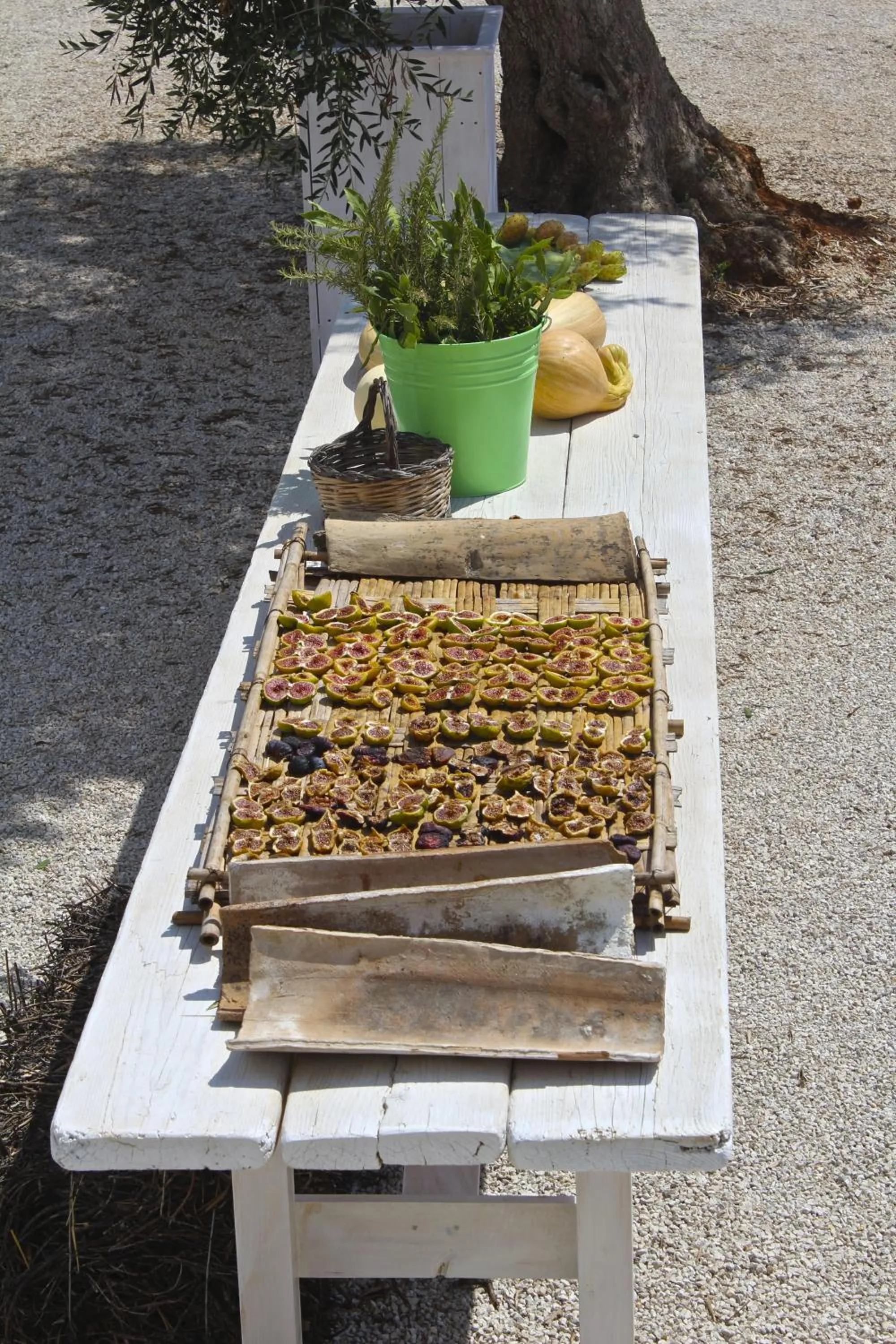 Food in Masseria Fulcignano