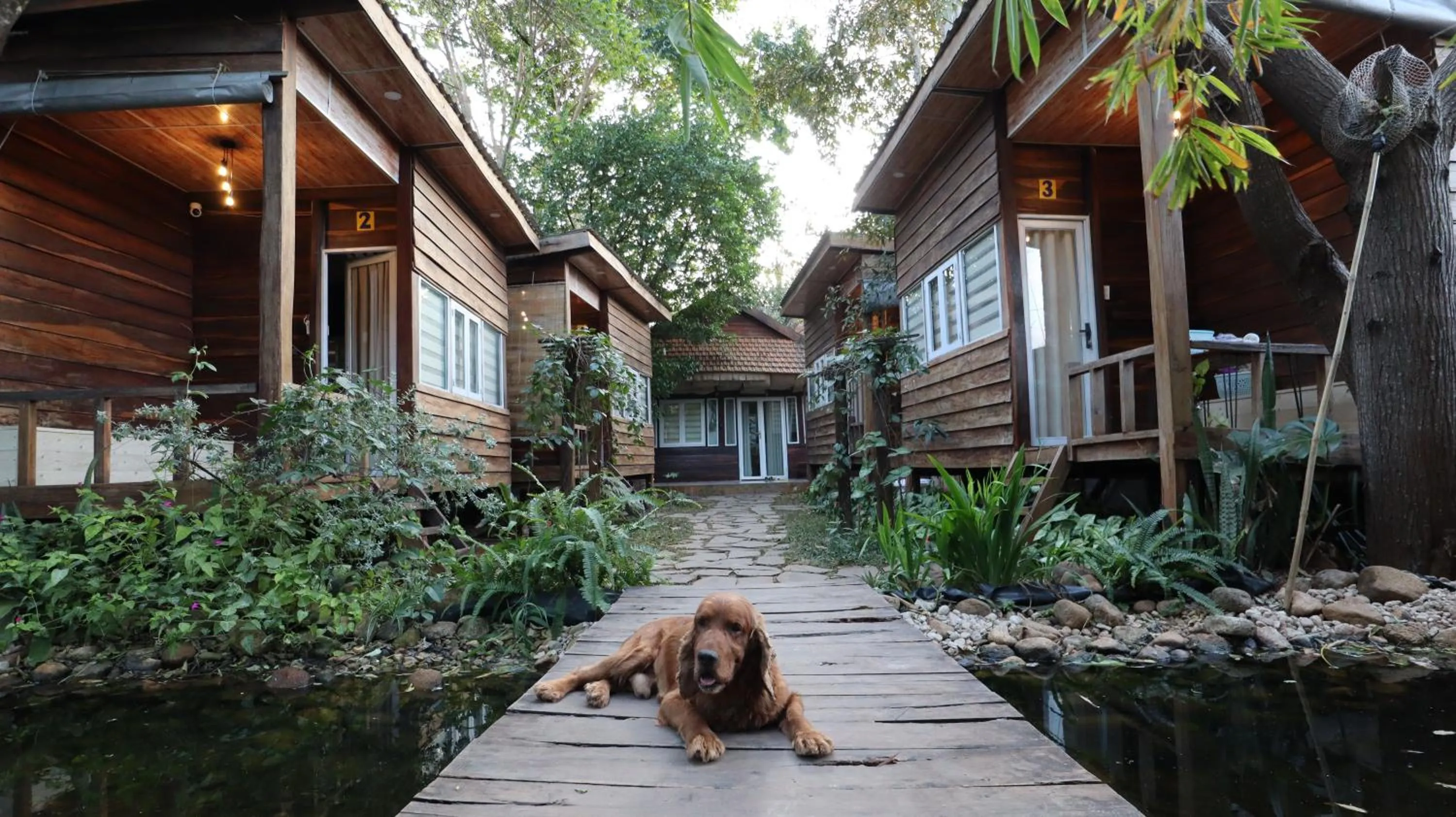 The 47 House Homestay BMT