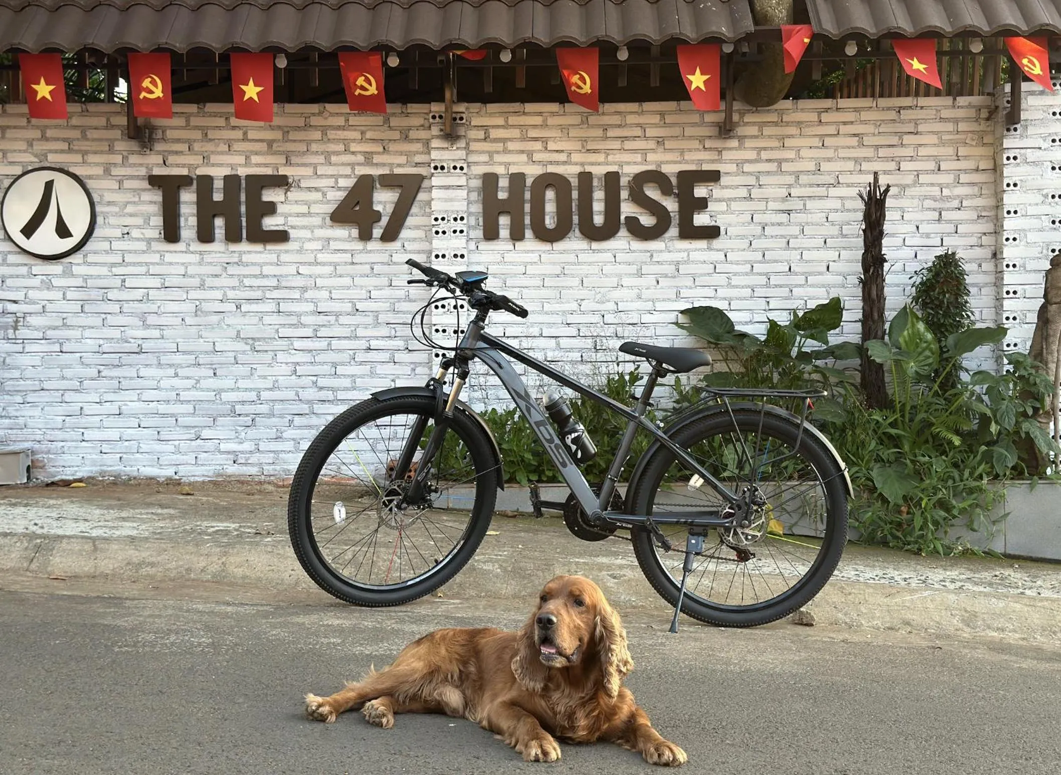 Off site in The 47 House Homestay BMT