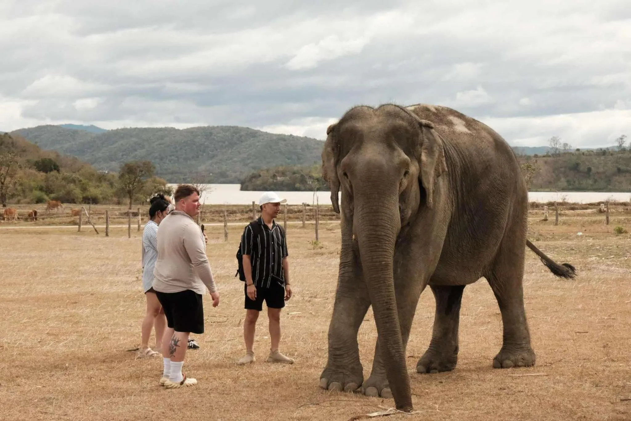 The 47 House Homestay BMT