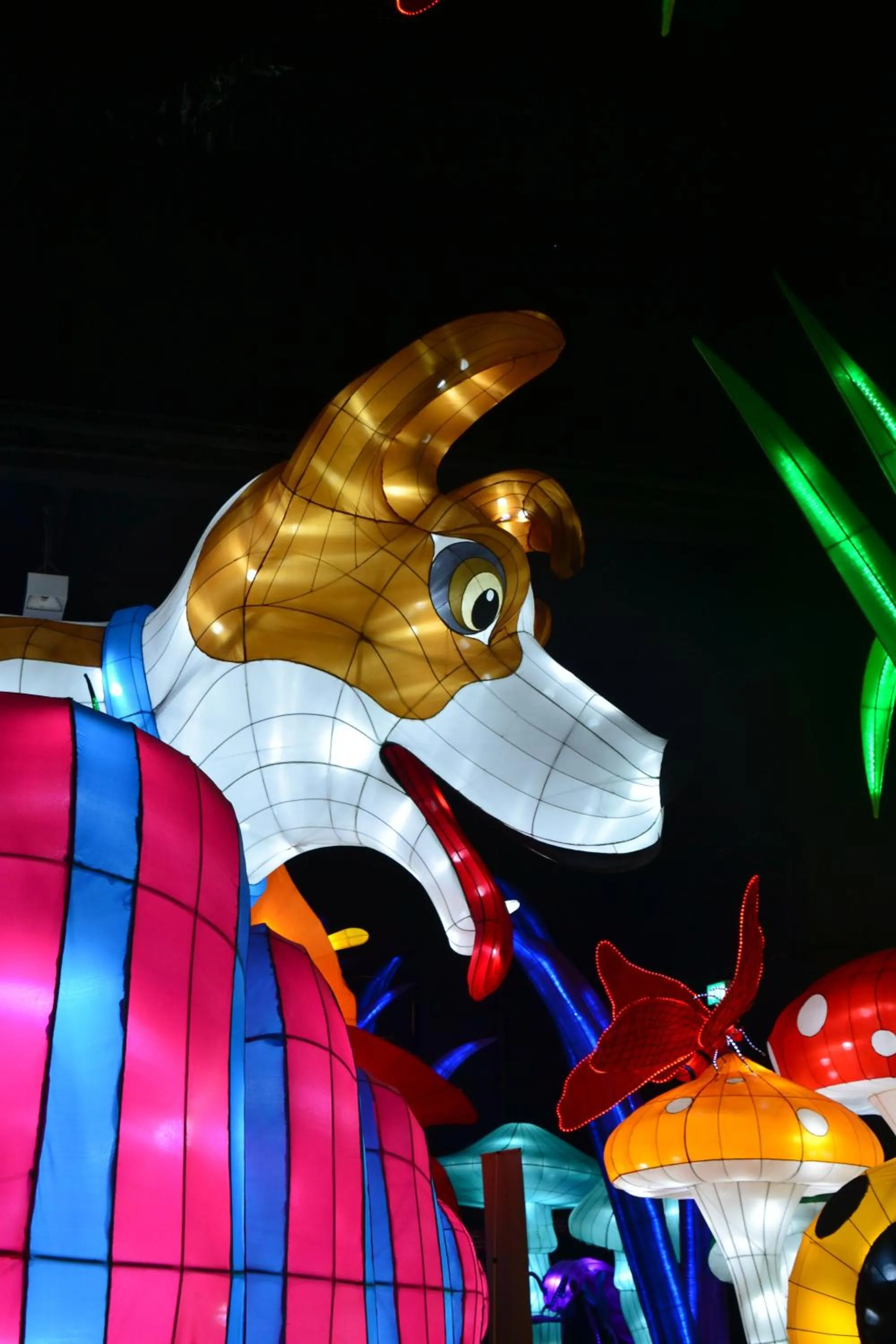 Off site in Camelot Seafront Hotel